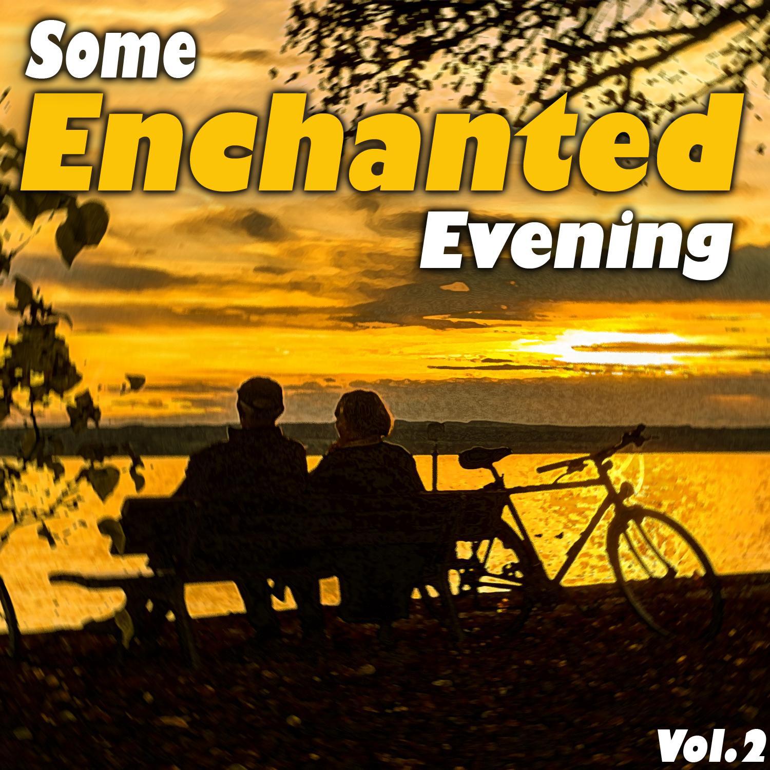 Some Enchanted Evening, Vol. 2