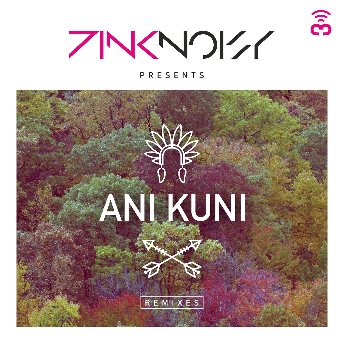 Ani Kuni (Remixes)