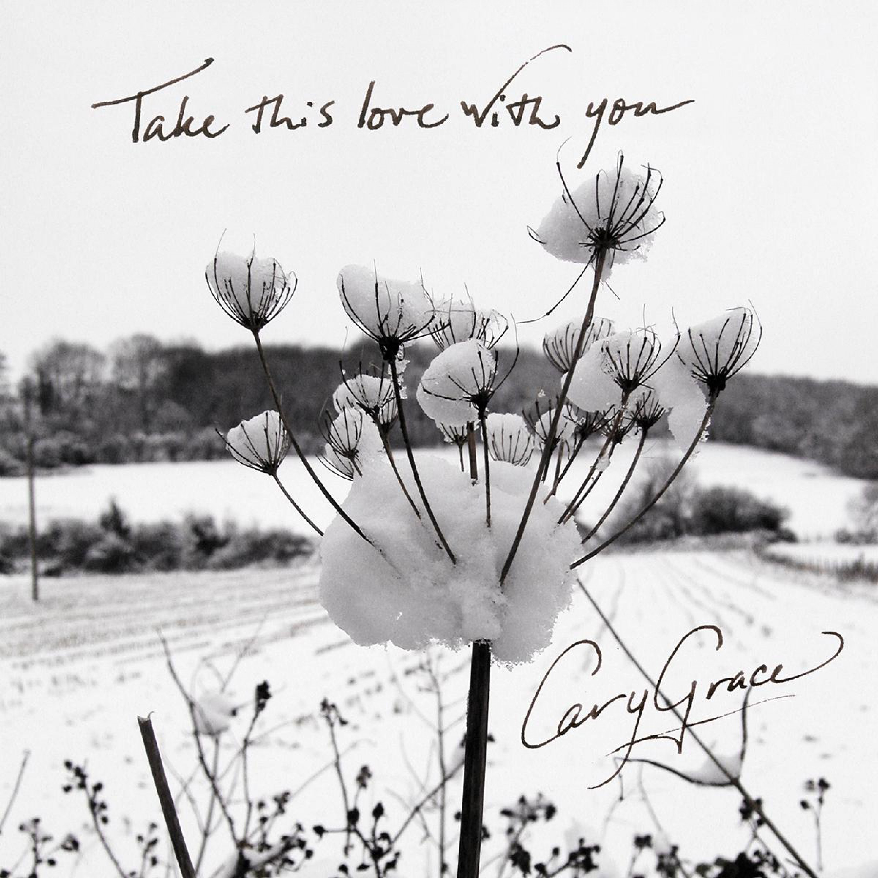 Take This Love with You