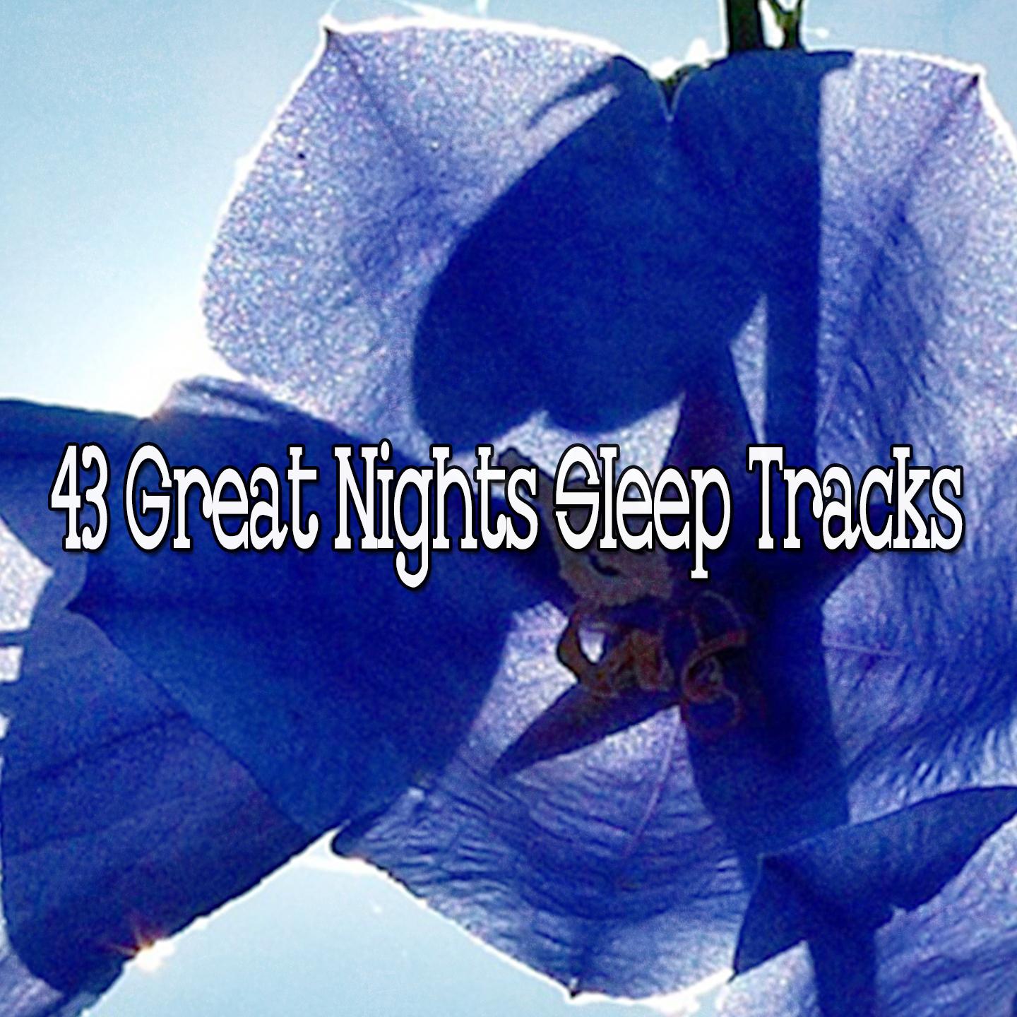43 Great Nights Sleep Tracks
