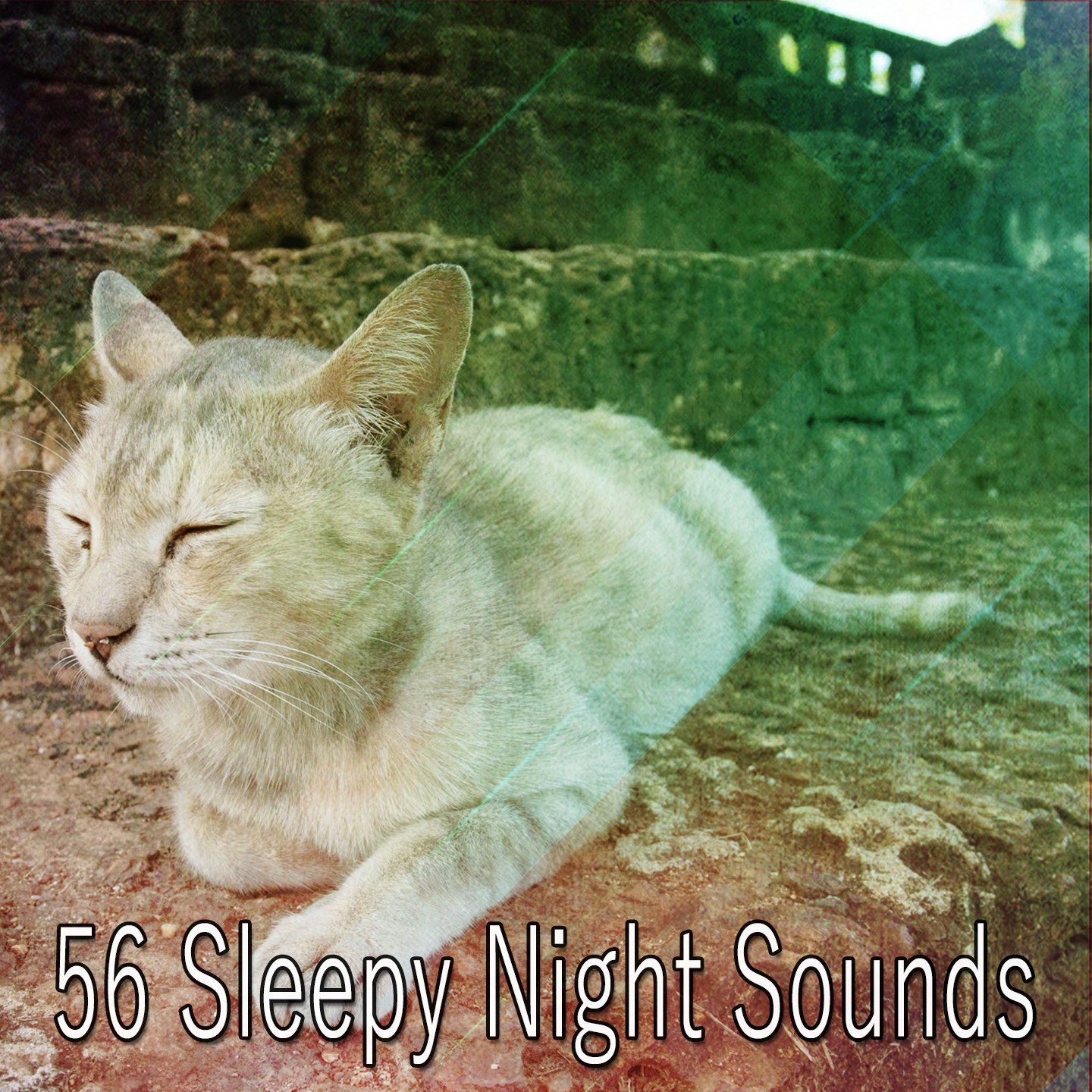 56 Sleepy Night Sounds
