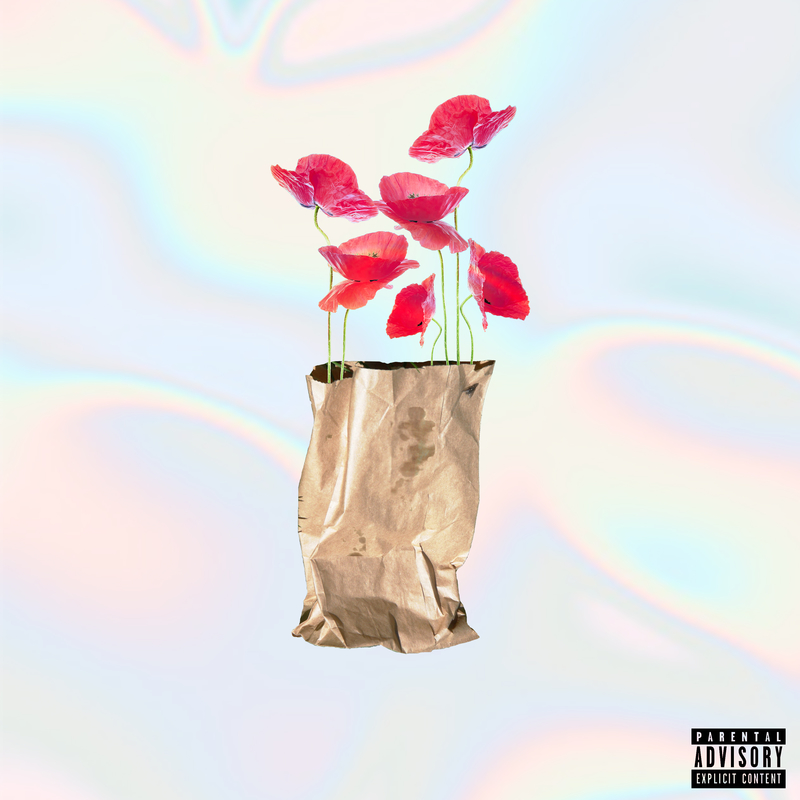 Brown Paper Bag (Maxi)