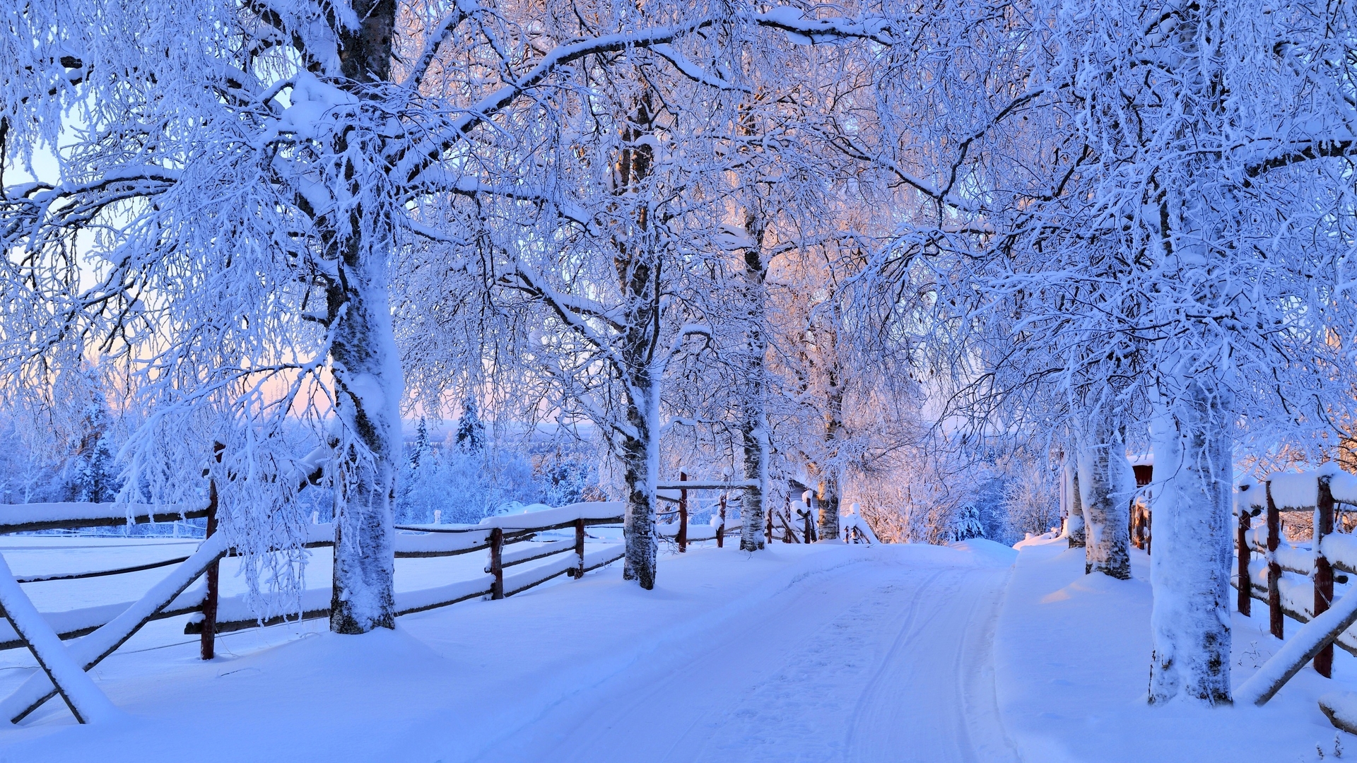 Snow Dance