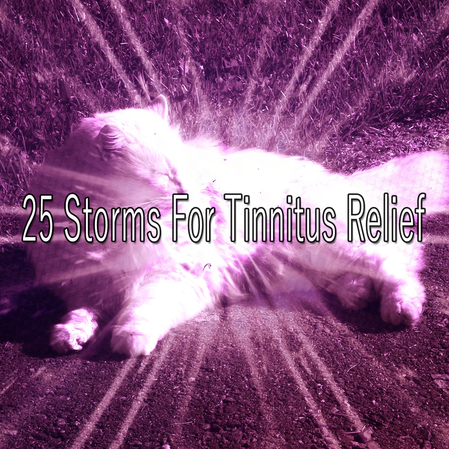 25 Storms For Tinnitus Relief