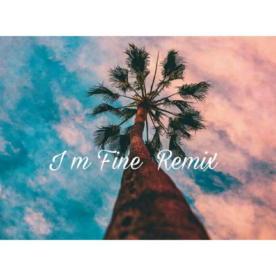 I m Fine(remix)