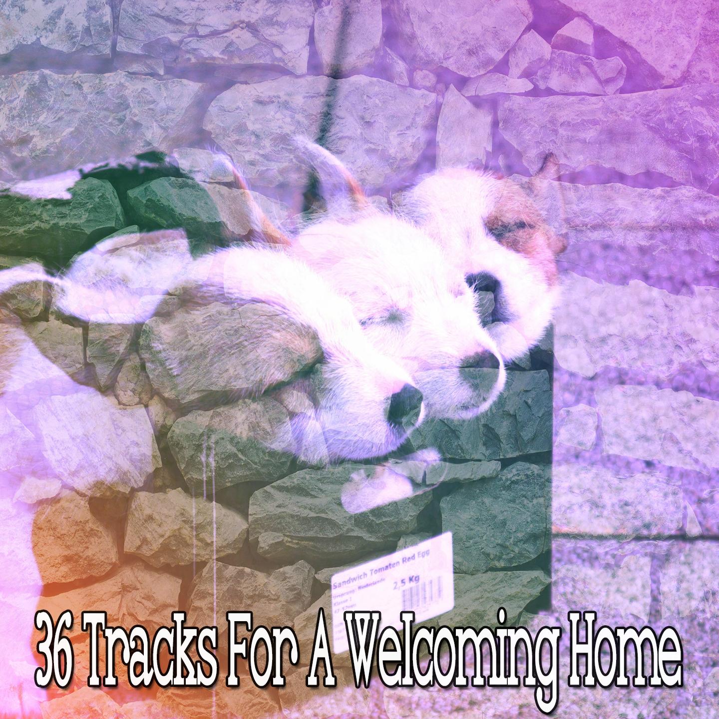 36 Tracks For A Welcoming Home