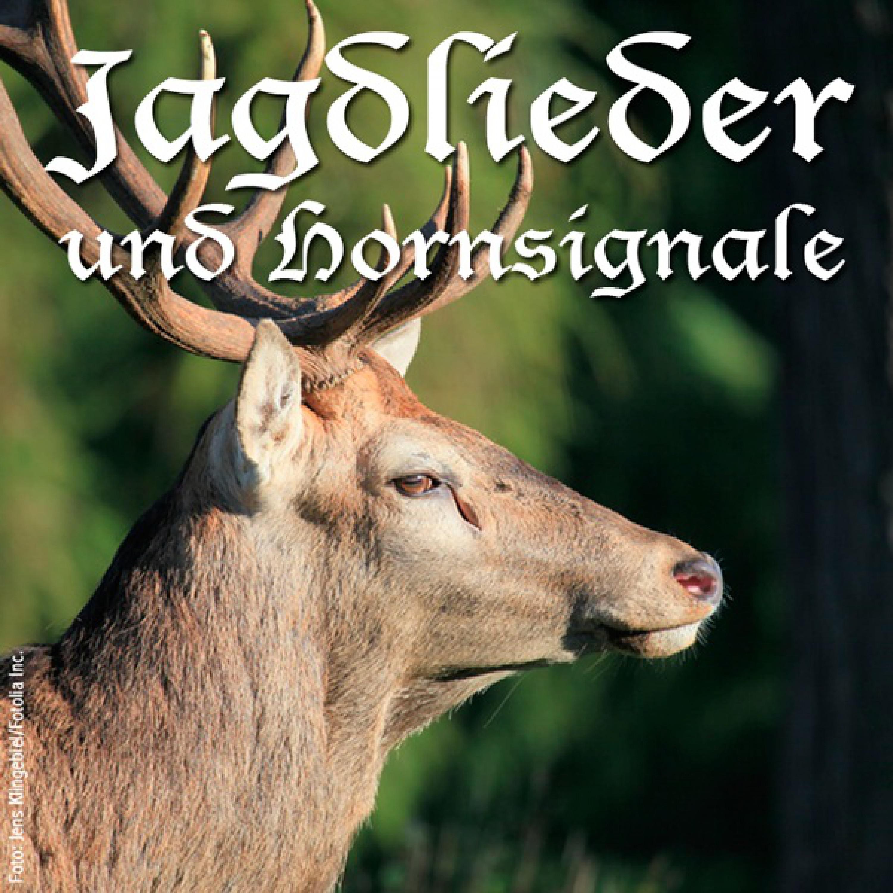 Der Jäger in dem grünen Wald