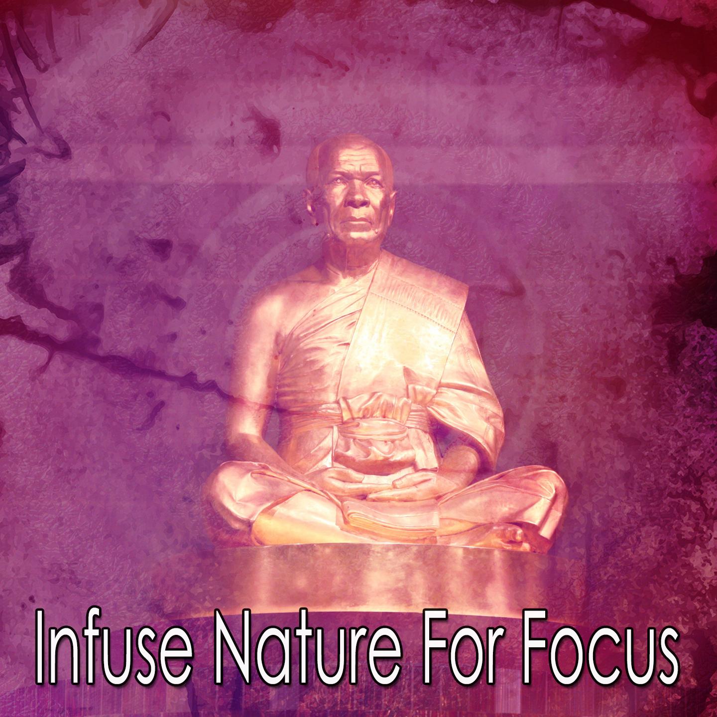 Infuse Nature For Focus
