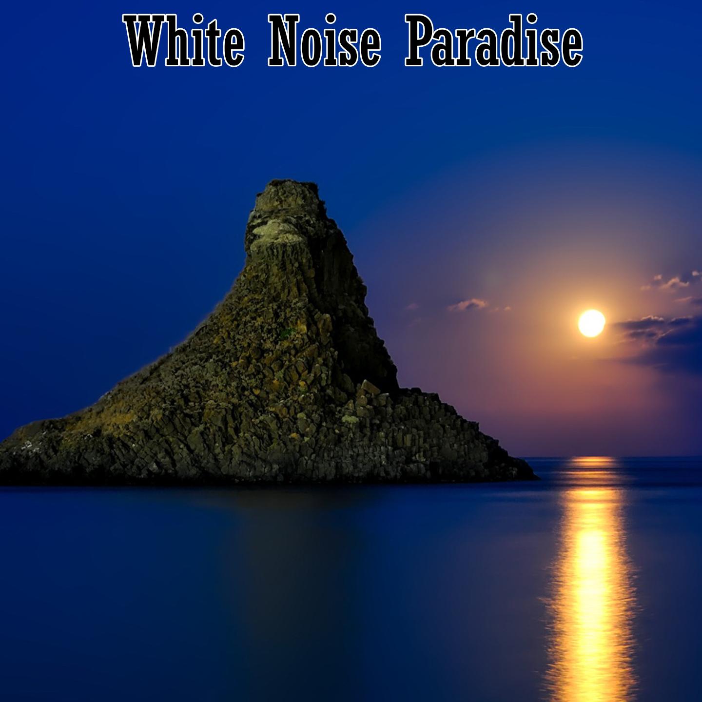 White Noise Paradise
