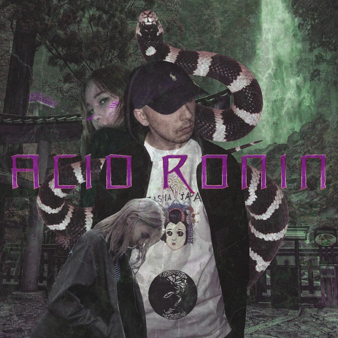 Acid Ronin