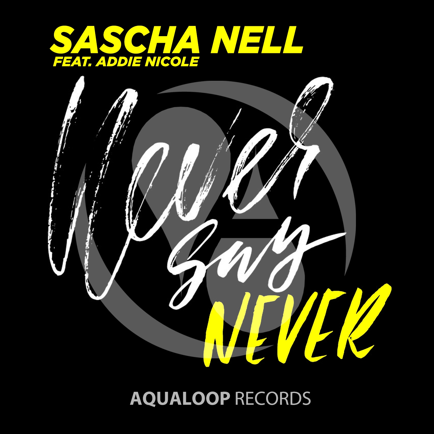 Never Say Never (Hands up Mix)