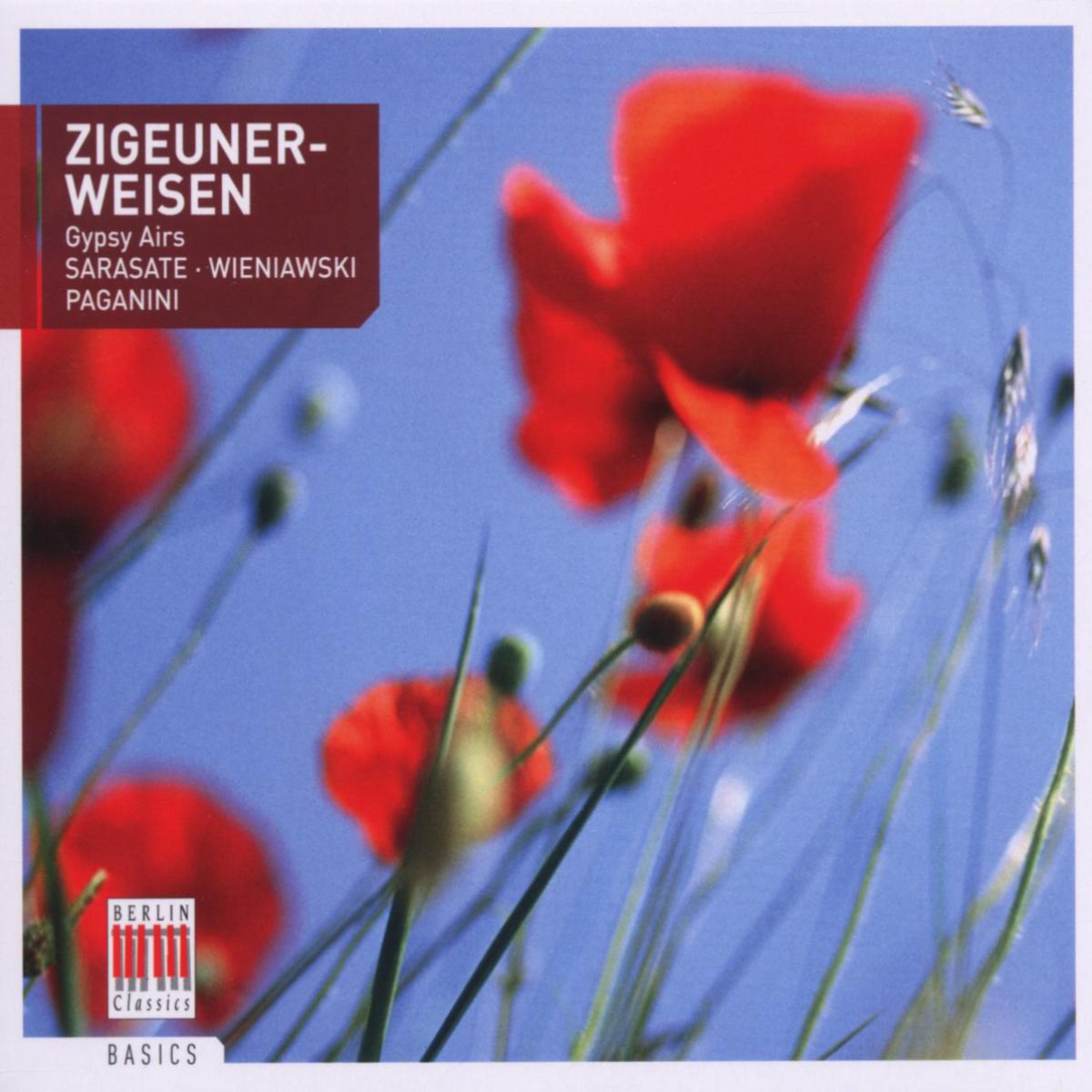 Violin Concerto No. 2 in D Minor, Op. 22: I. Allegro moderato