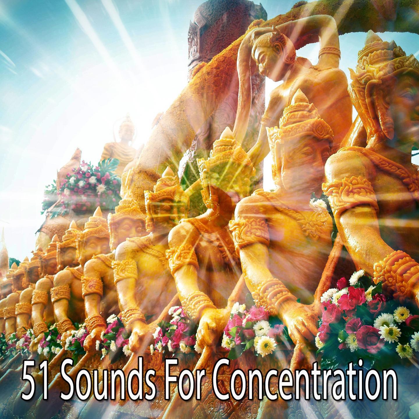 51 Sounds For Concentration