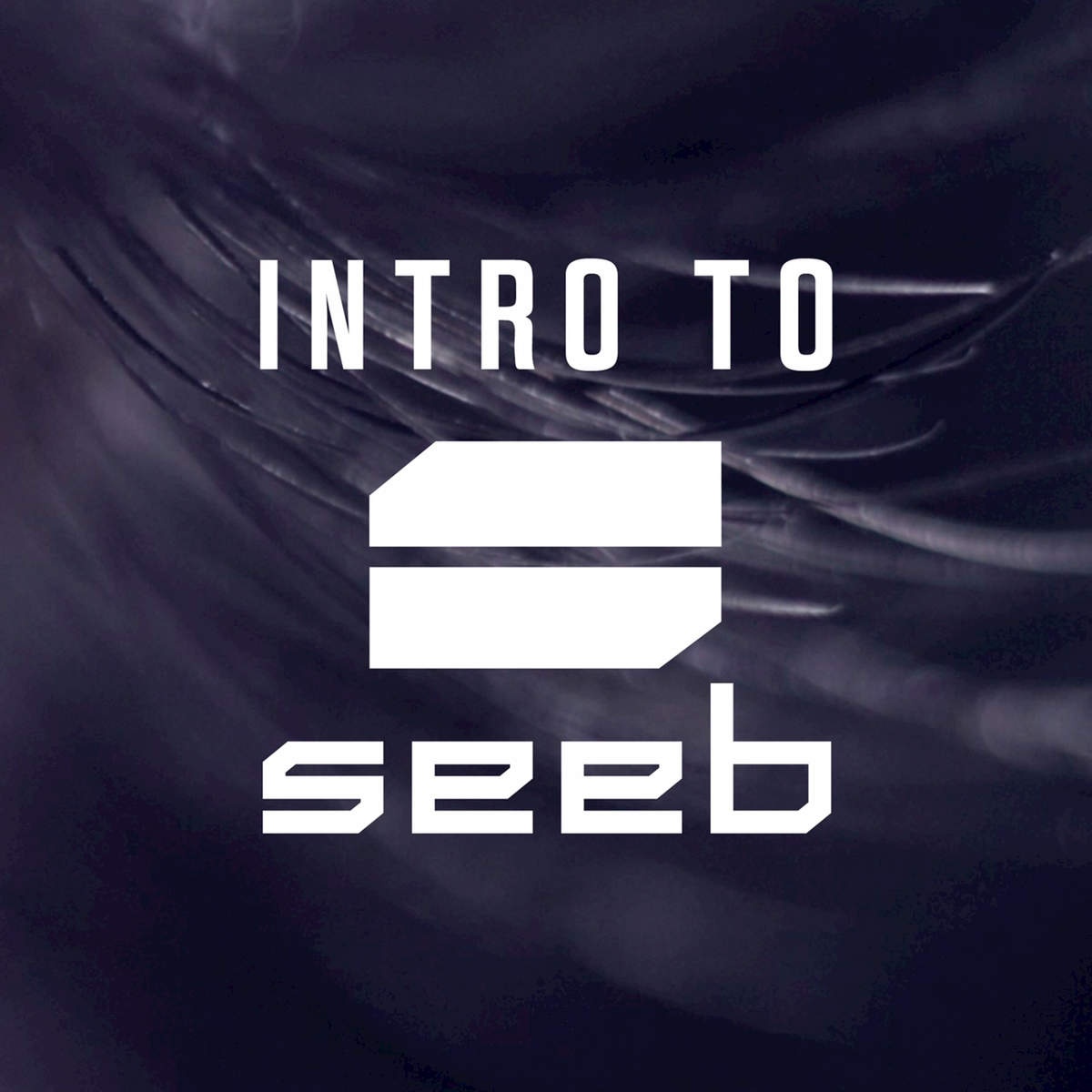 Intro To Seeb