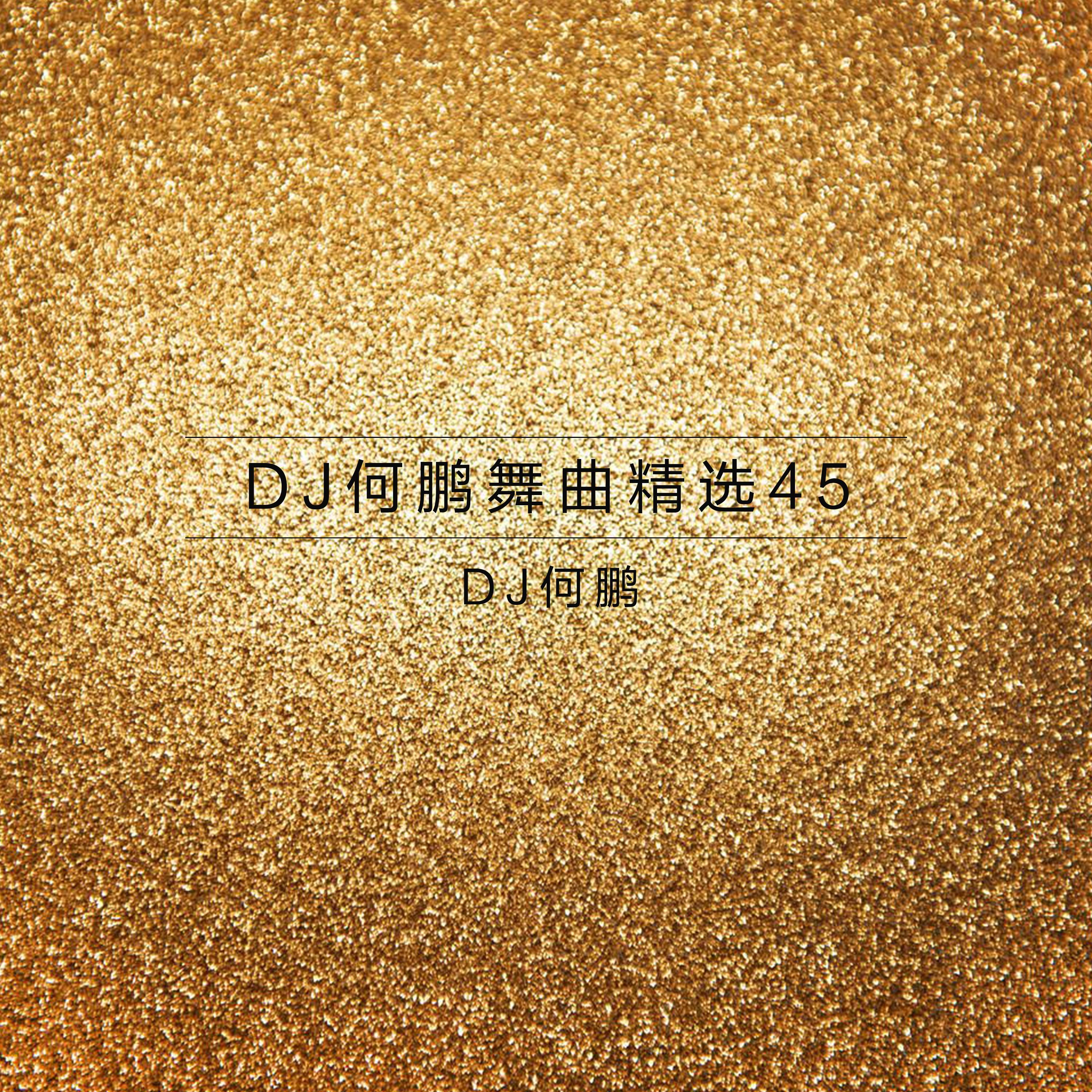 DJ何鹏舞曲精选集45