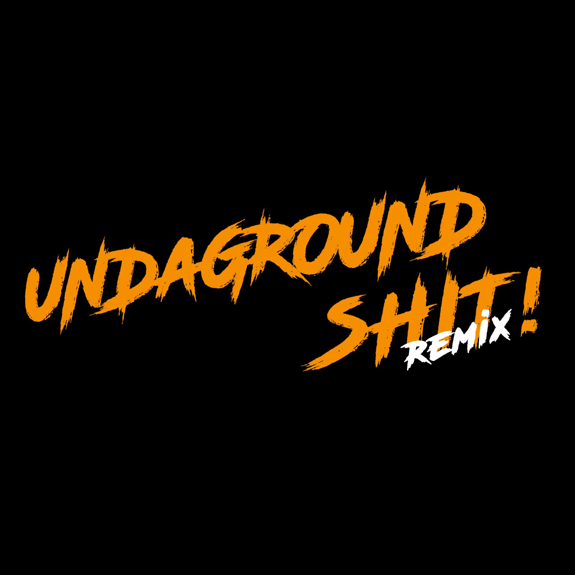 UNDERGROUND SHIT REMIX - feat.法老