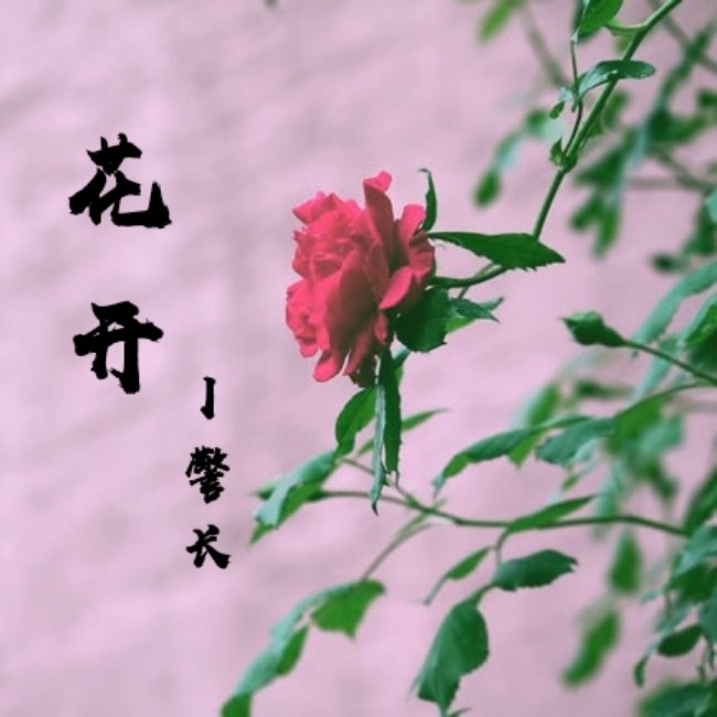 花开