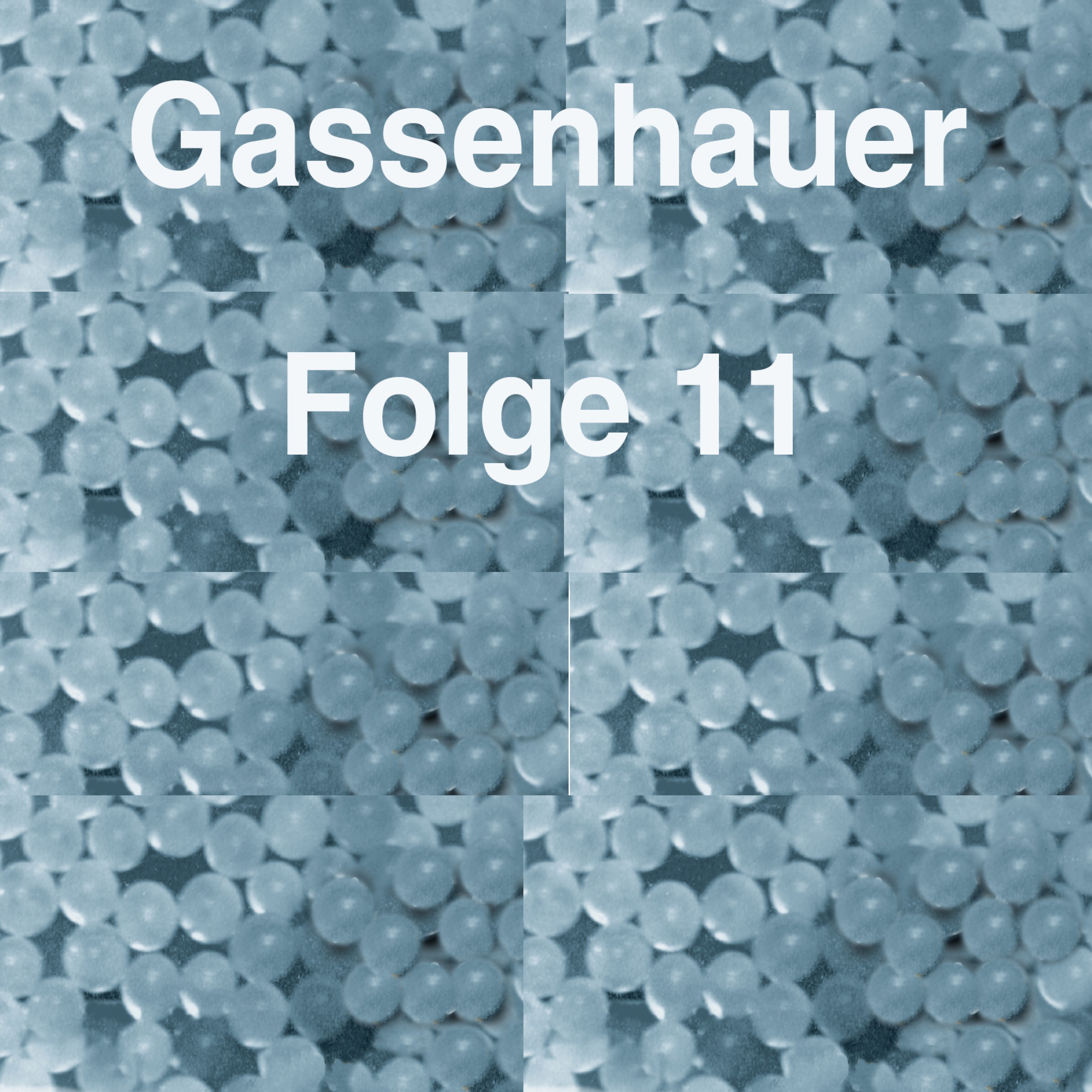 Gassenhauer Vol. 11