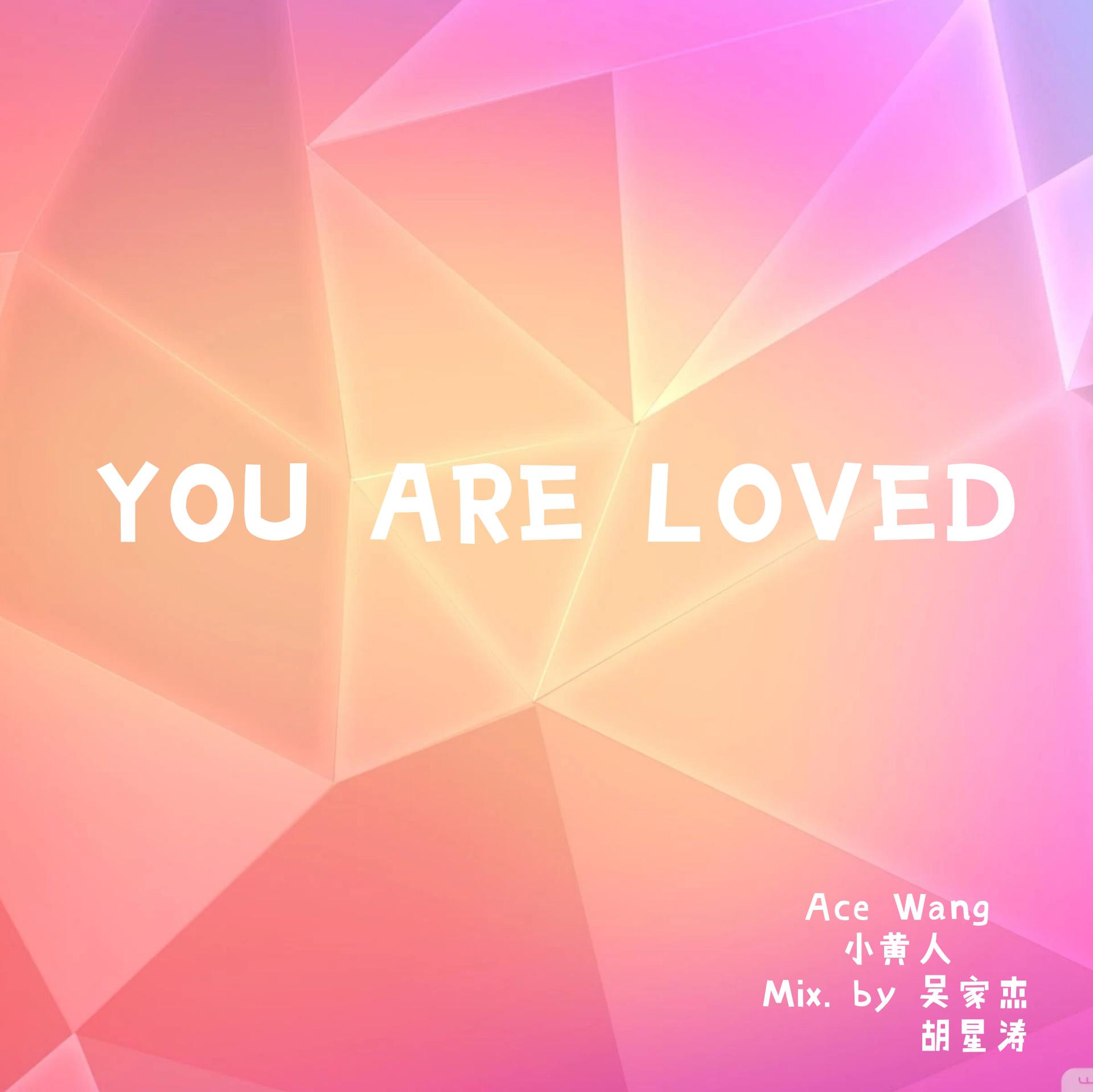 You Are Loved（Cover：Various Artists）