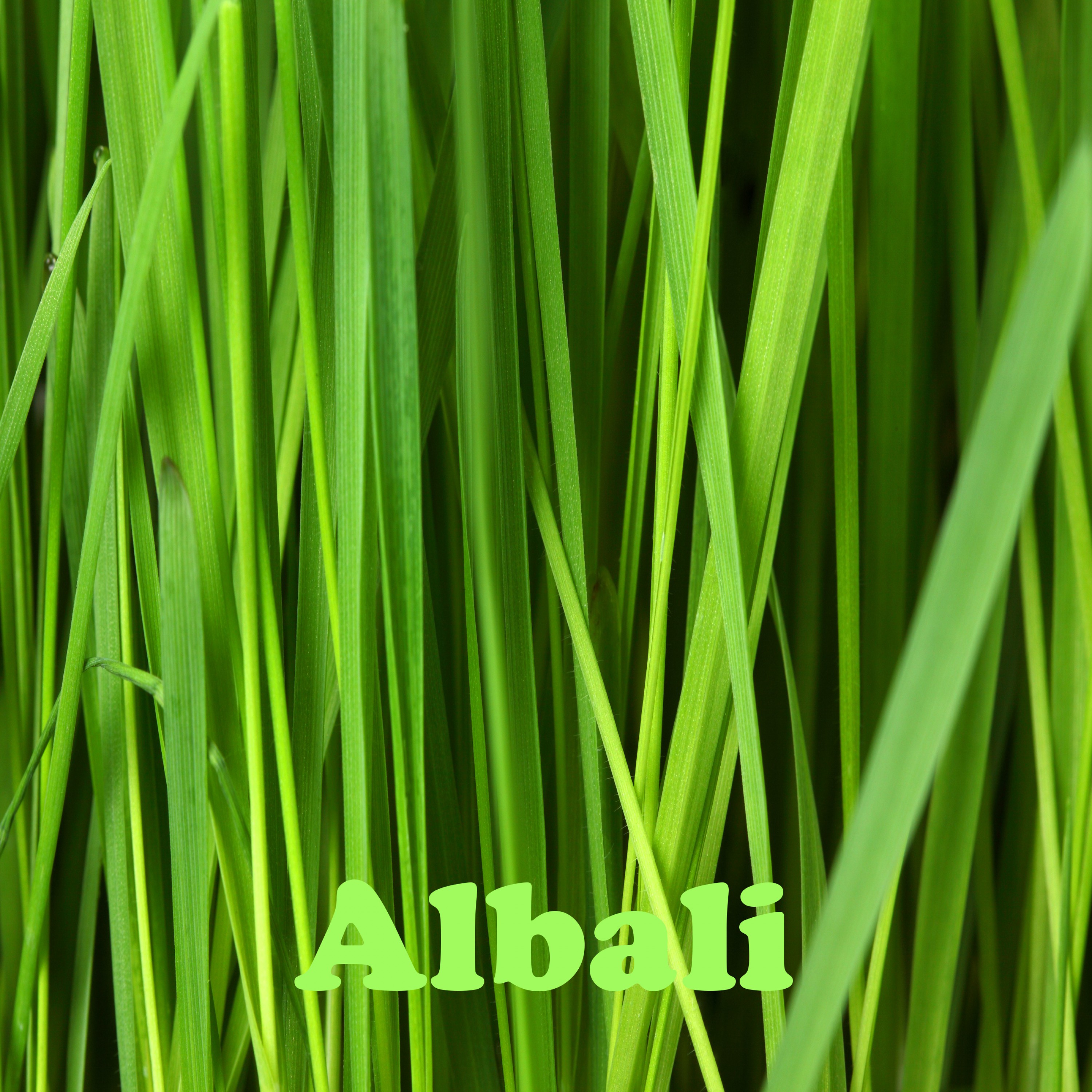 Albali