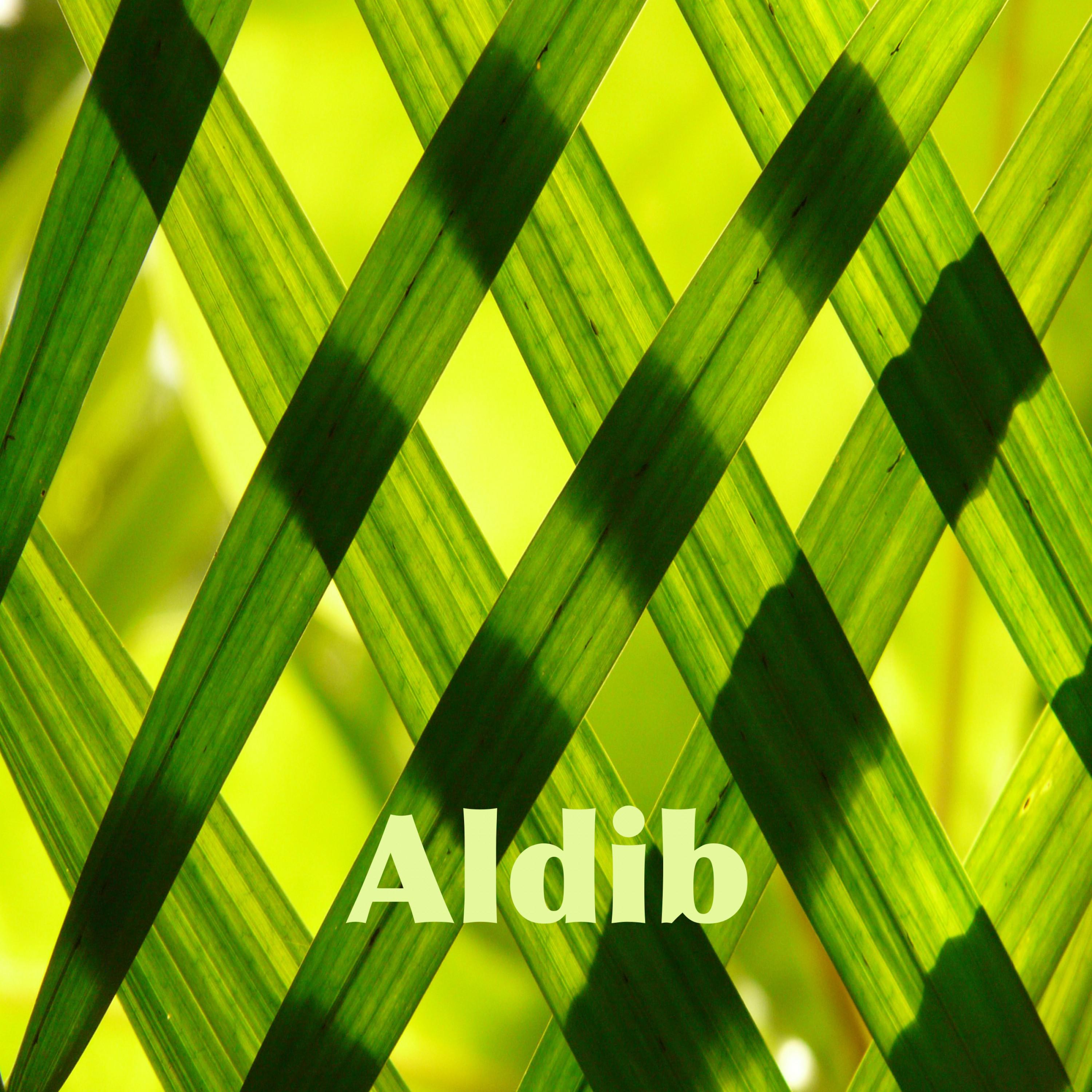 Aldib