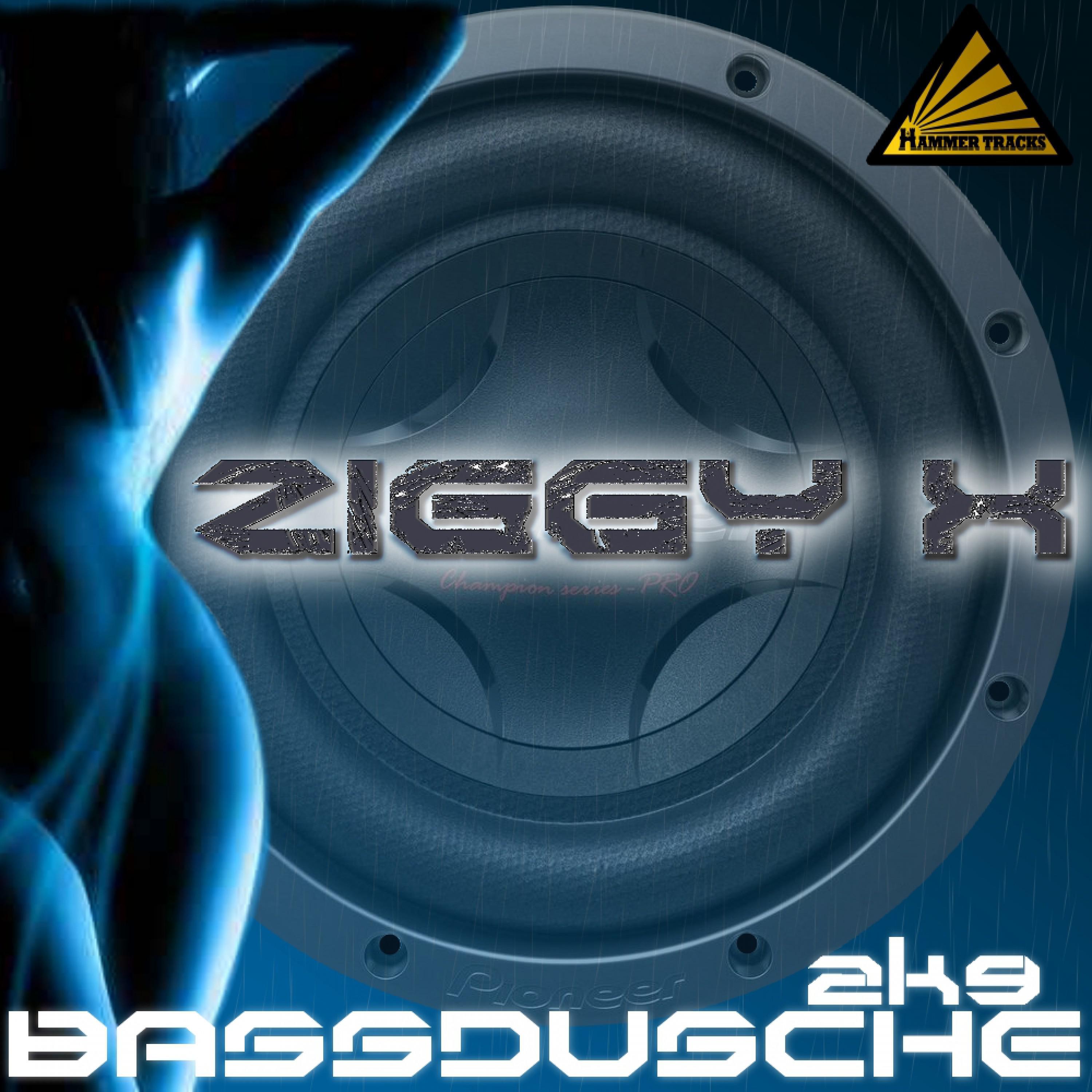 Bassdusche 2K9 (Original Radio Mix)