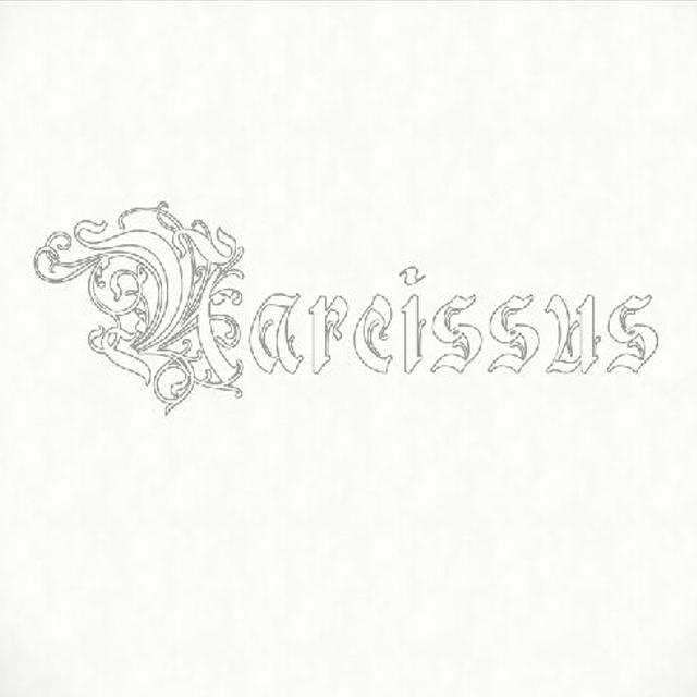 《Narcissus》