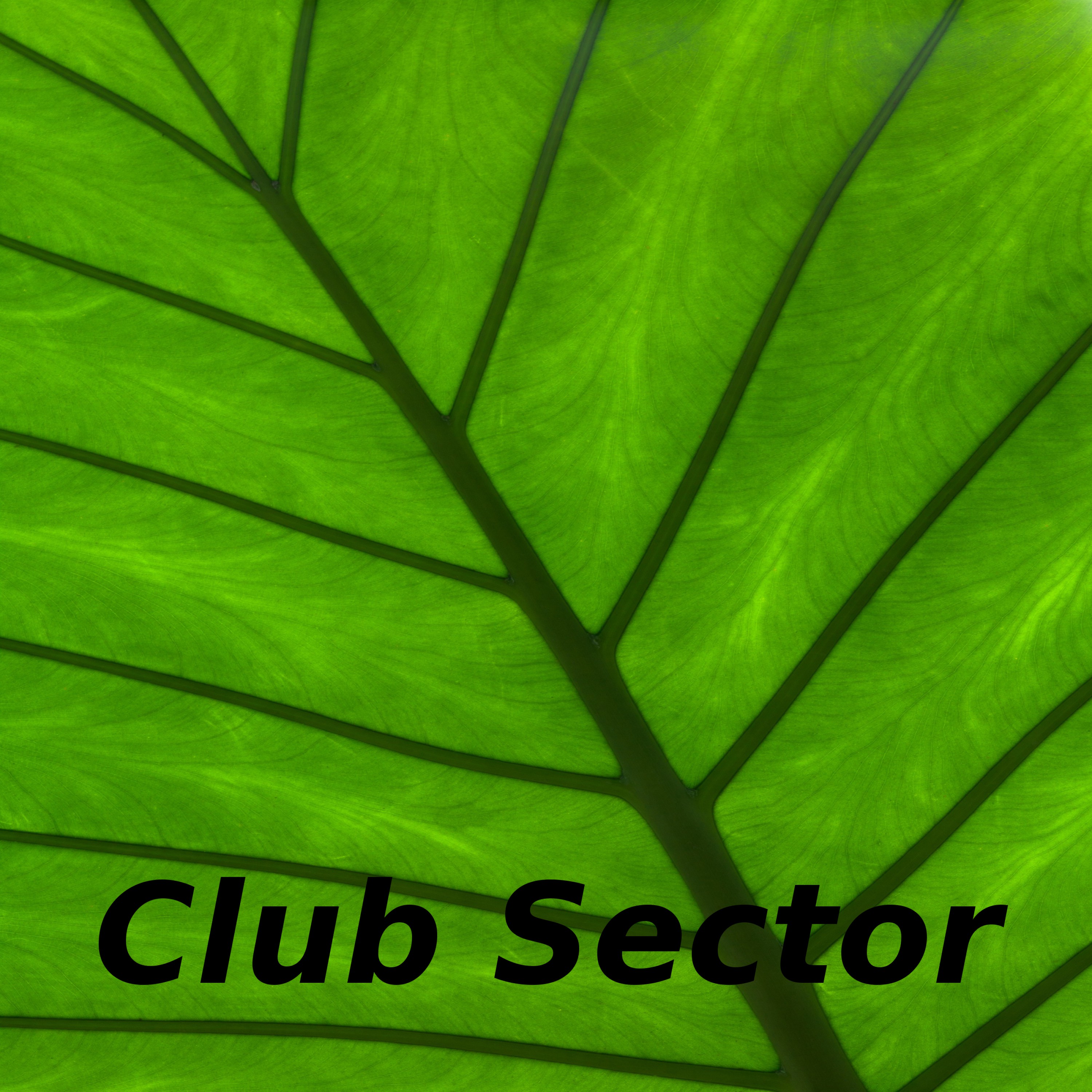 Club Sector