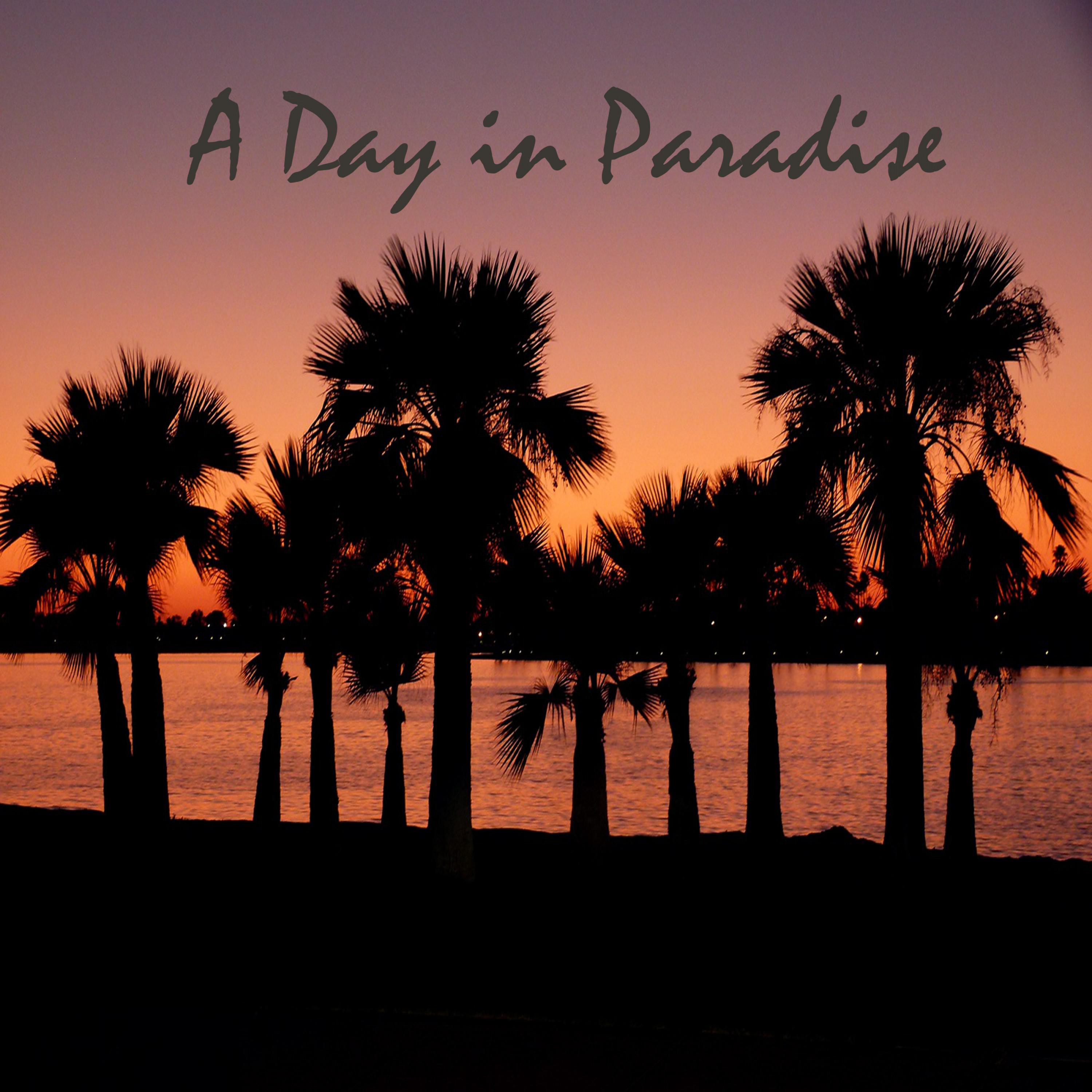 A Day in Paradise