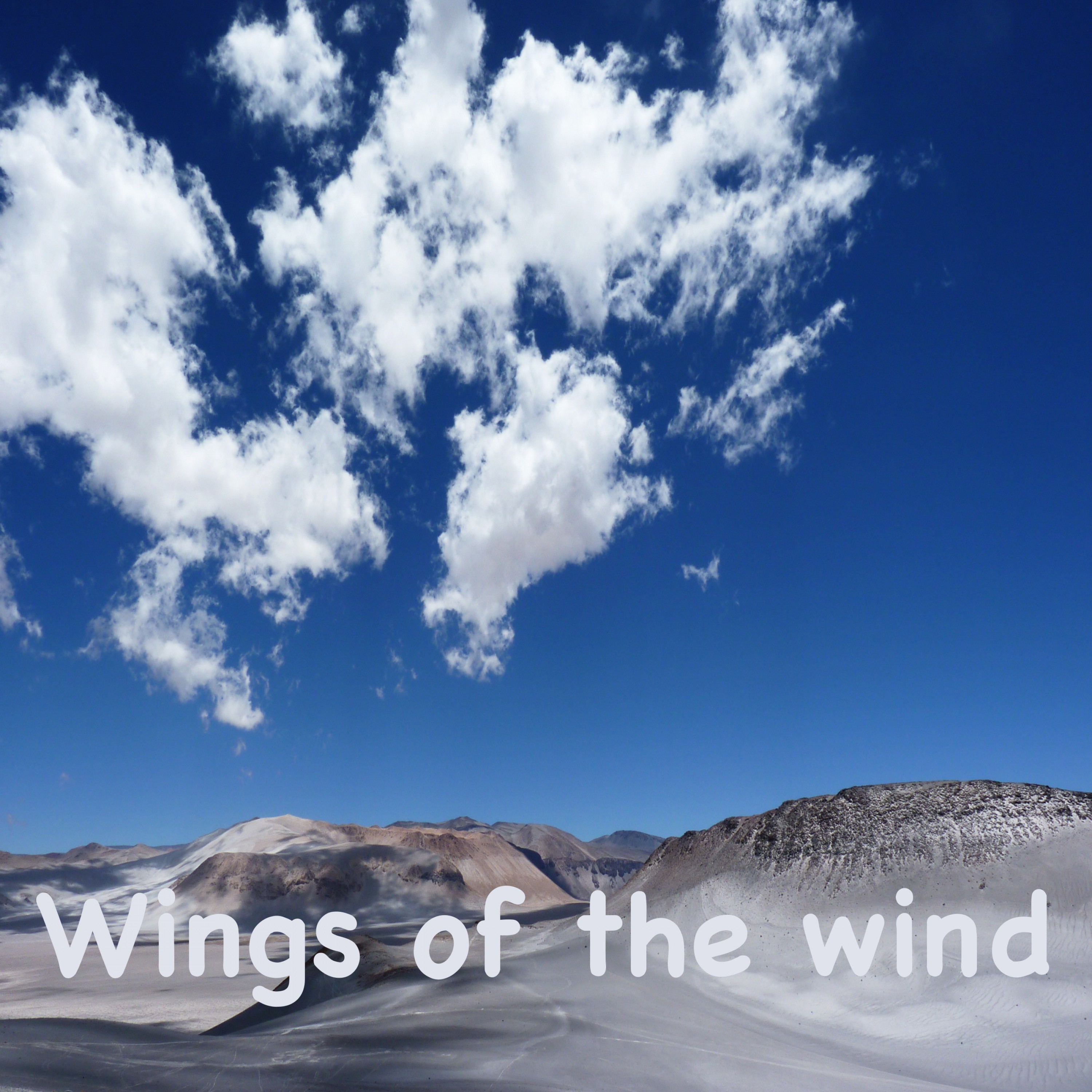 Wings of the Wind