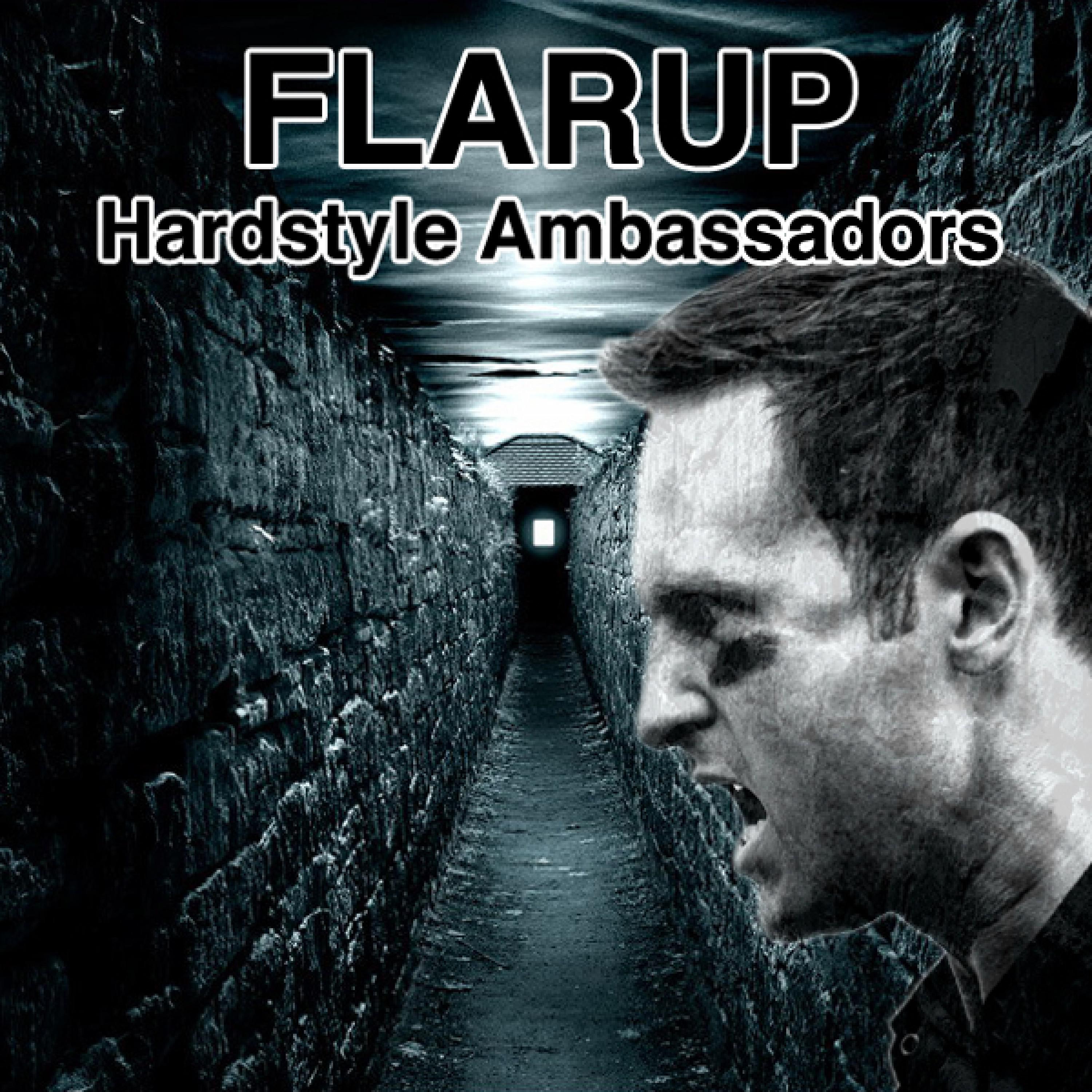 Hardstyle Ambassadors