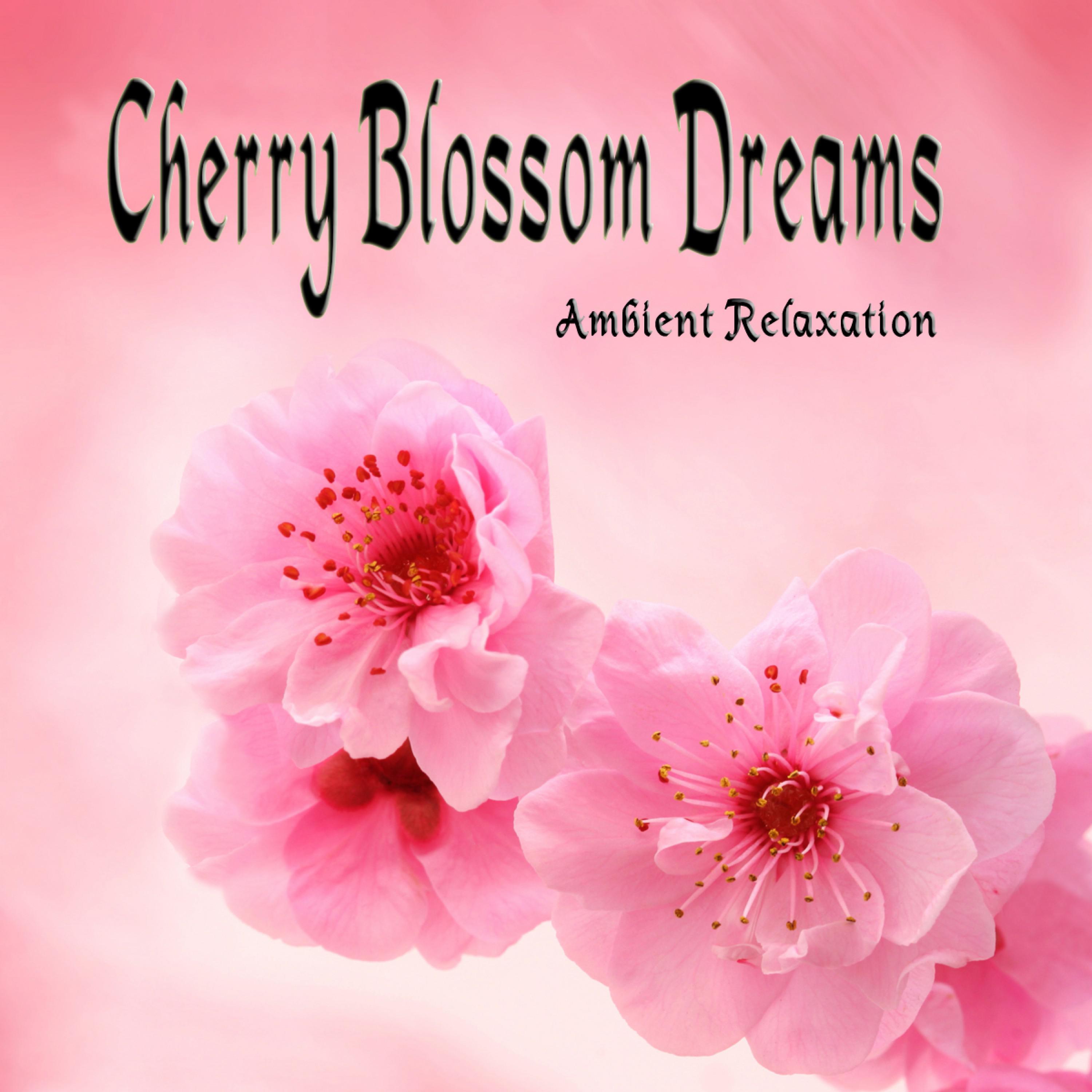 Cherry Blossom Dreams