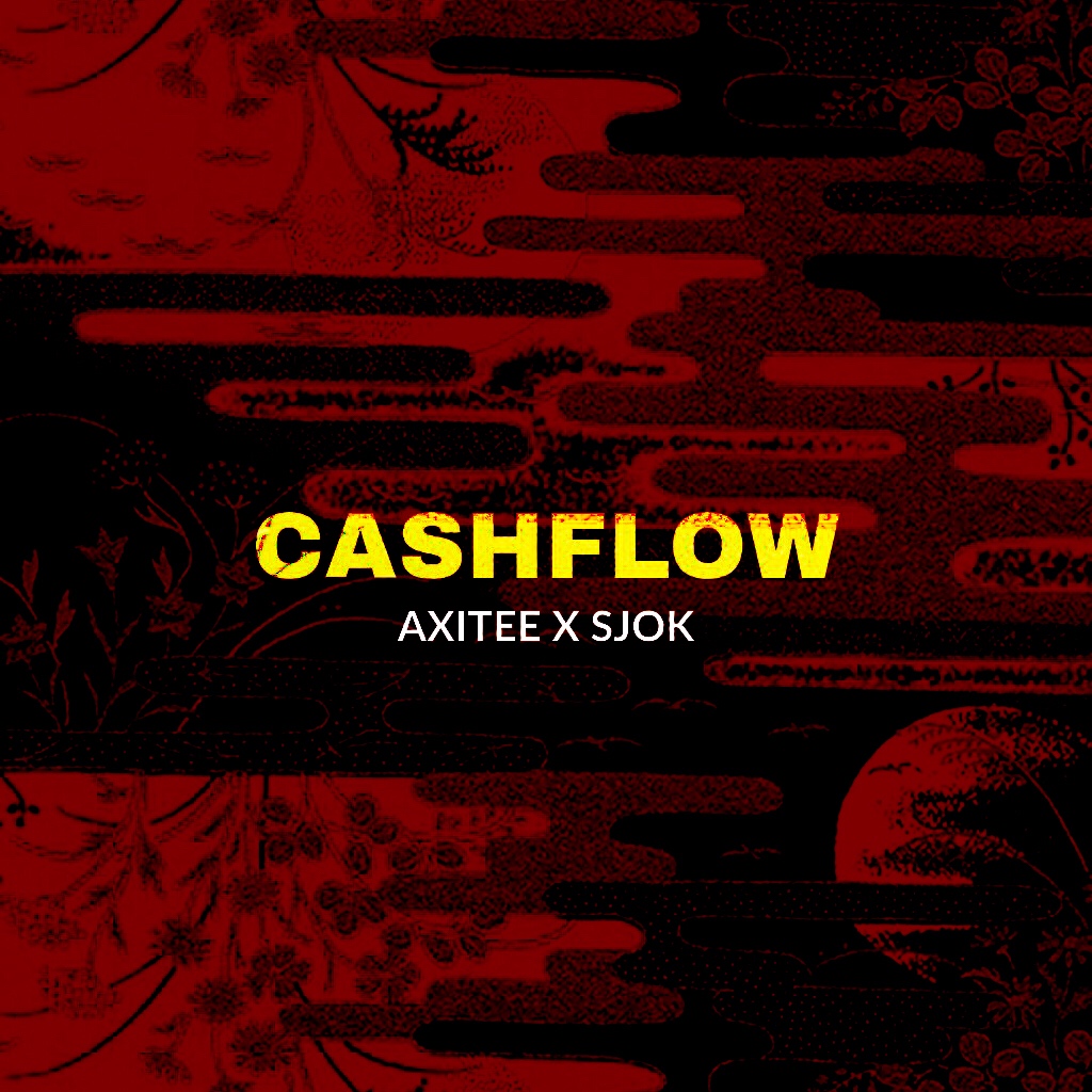 CASH FLOW(VIP)