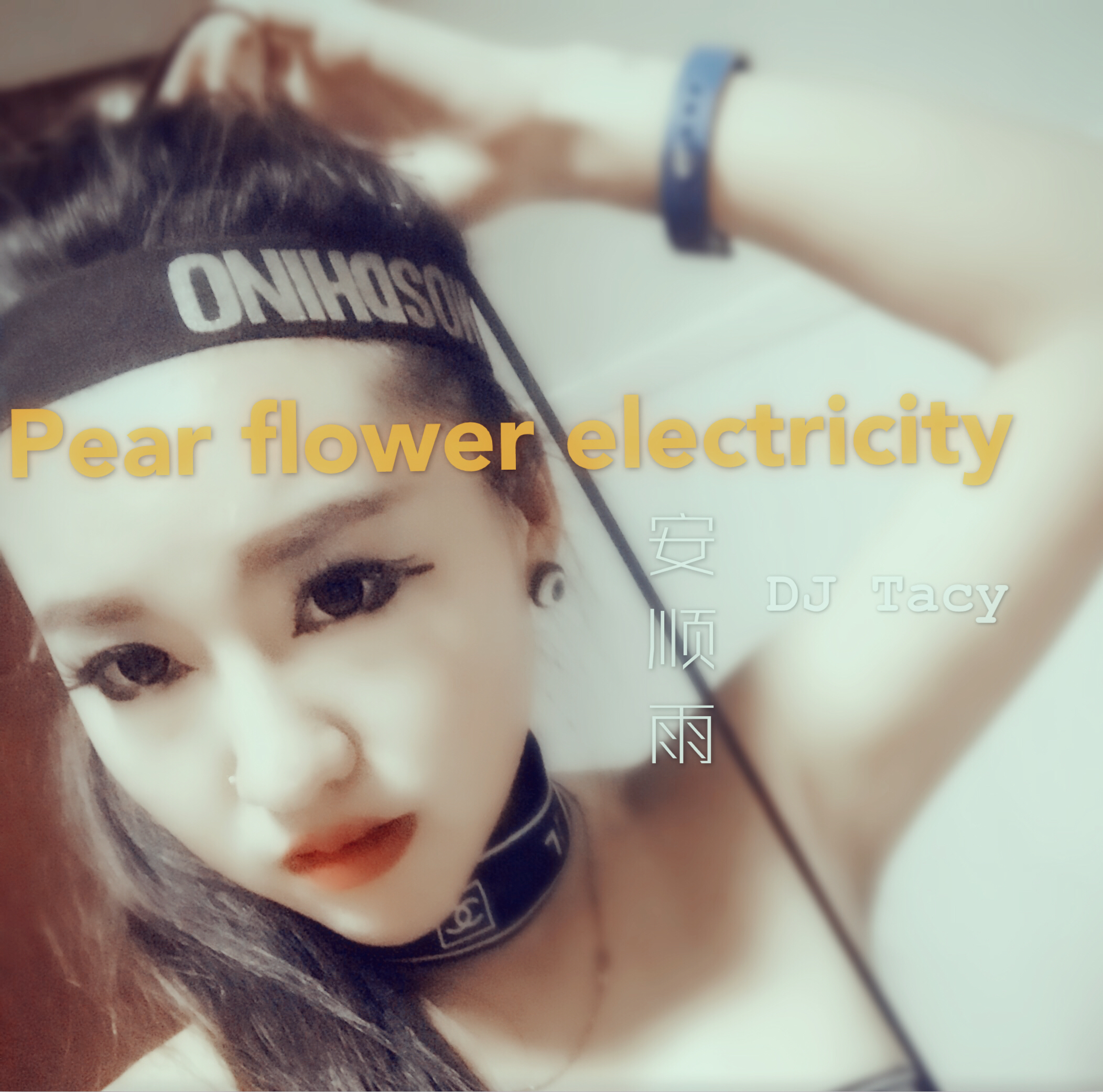 安顺雨-pear flower electricity梨花电（安顺雨 Remix）