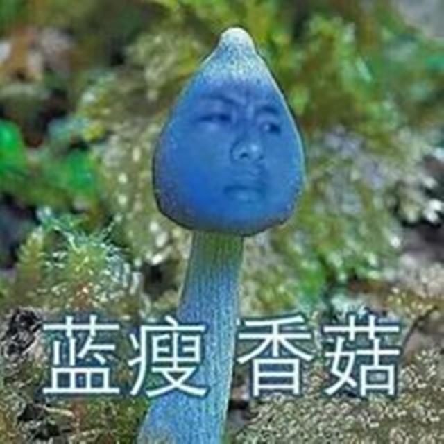 封刀不为峥嵘（单人独唱）