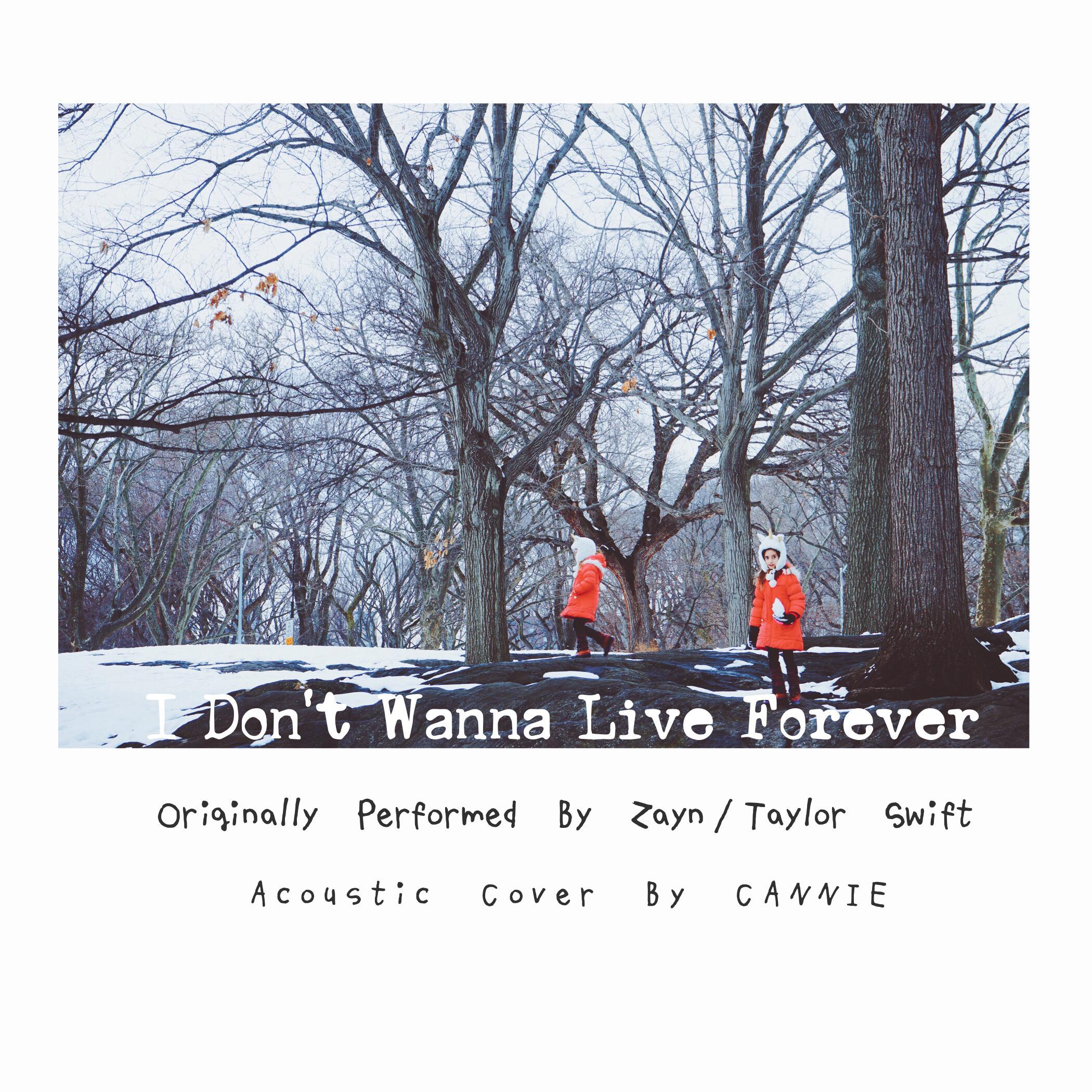 I Don't Wanna Live Forever (Acoustic Cover)