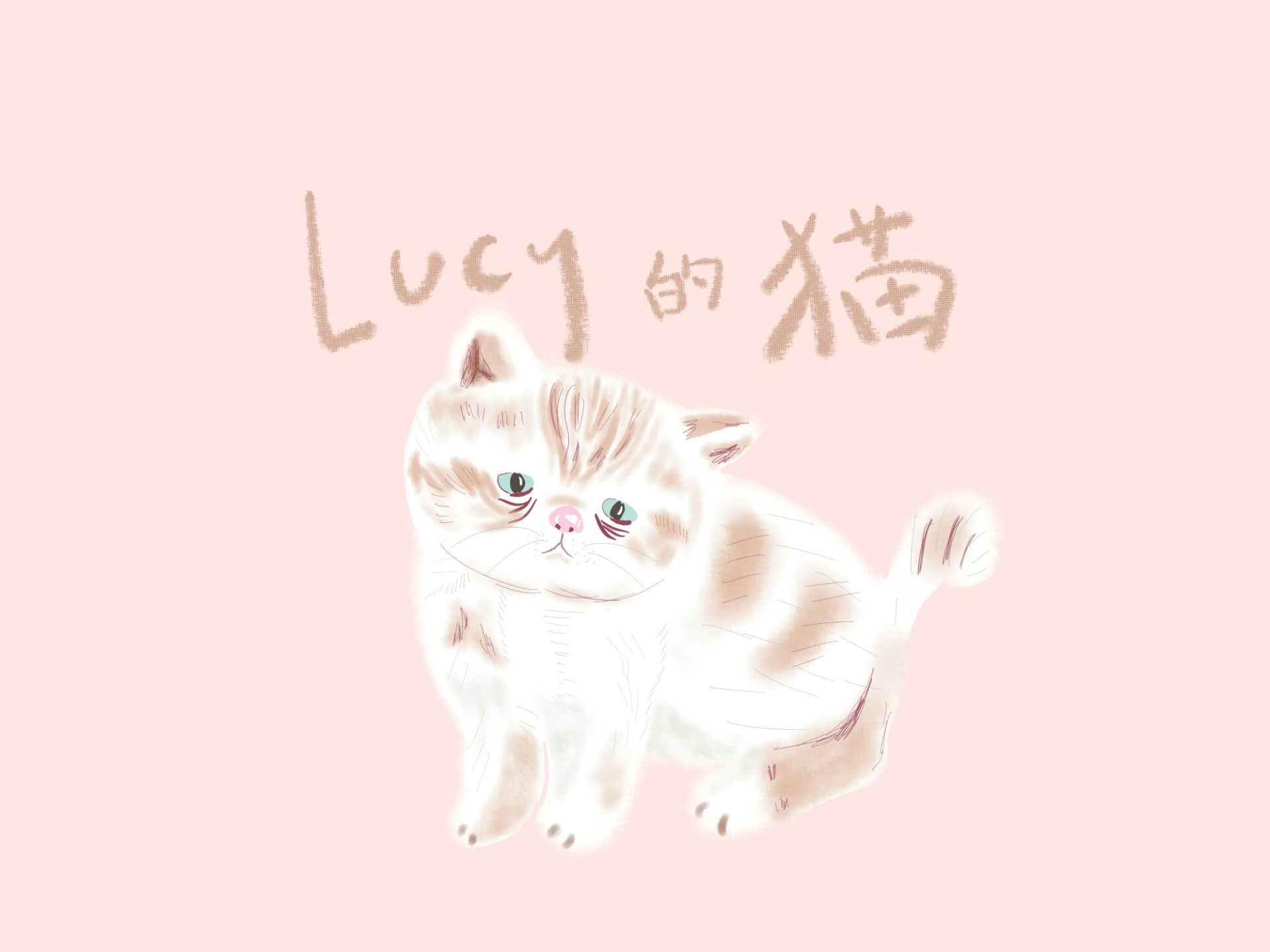 Lucy的猫