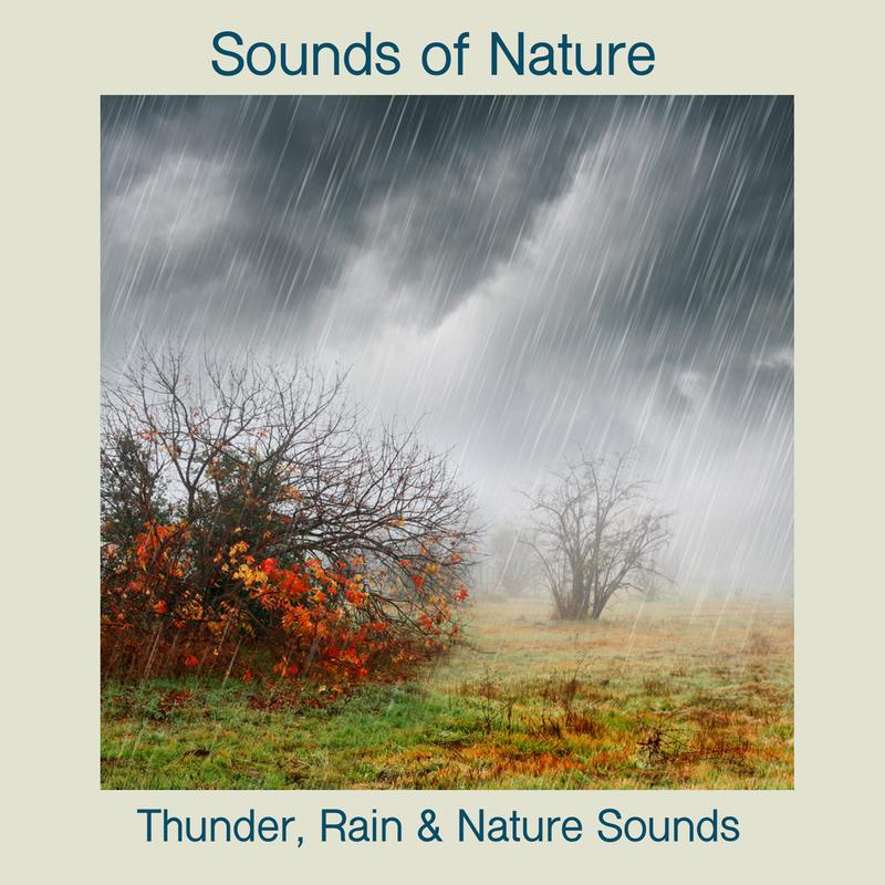 Thunder, Rain & Nature Sounds