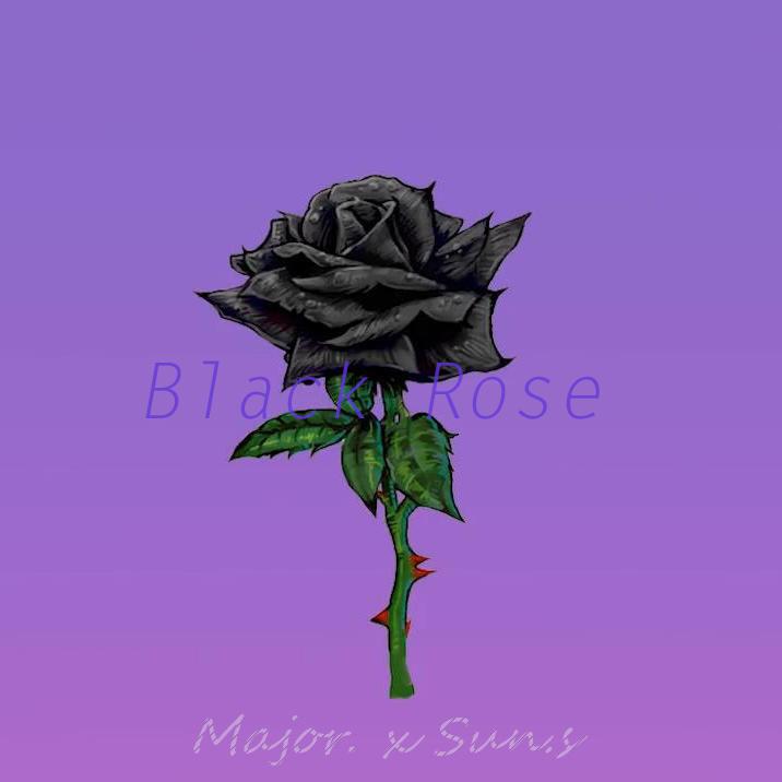 Black Rose（黑蔷薇）