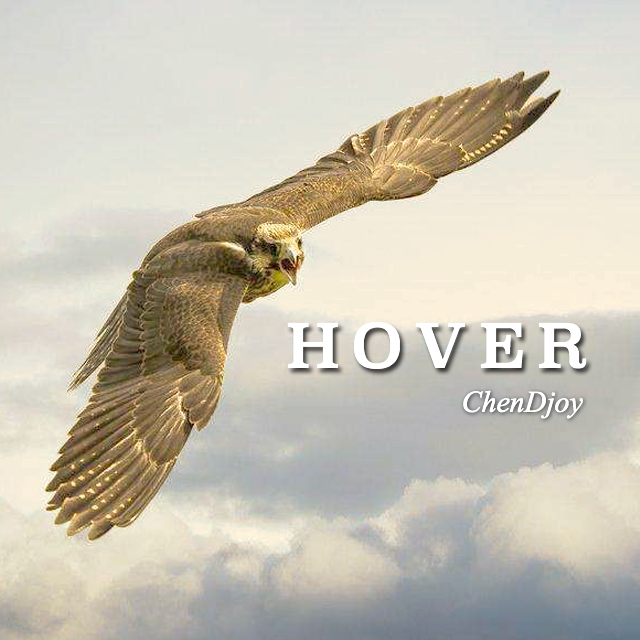 Hover