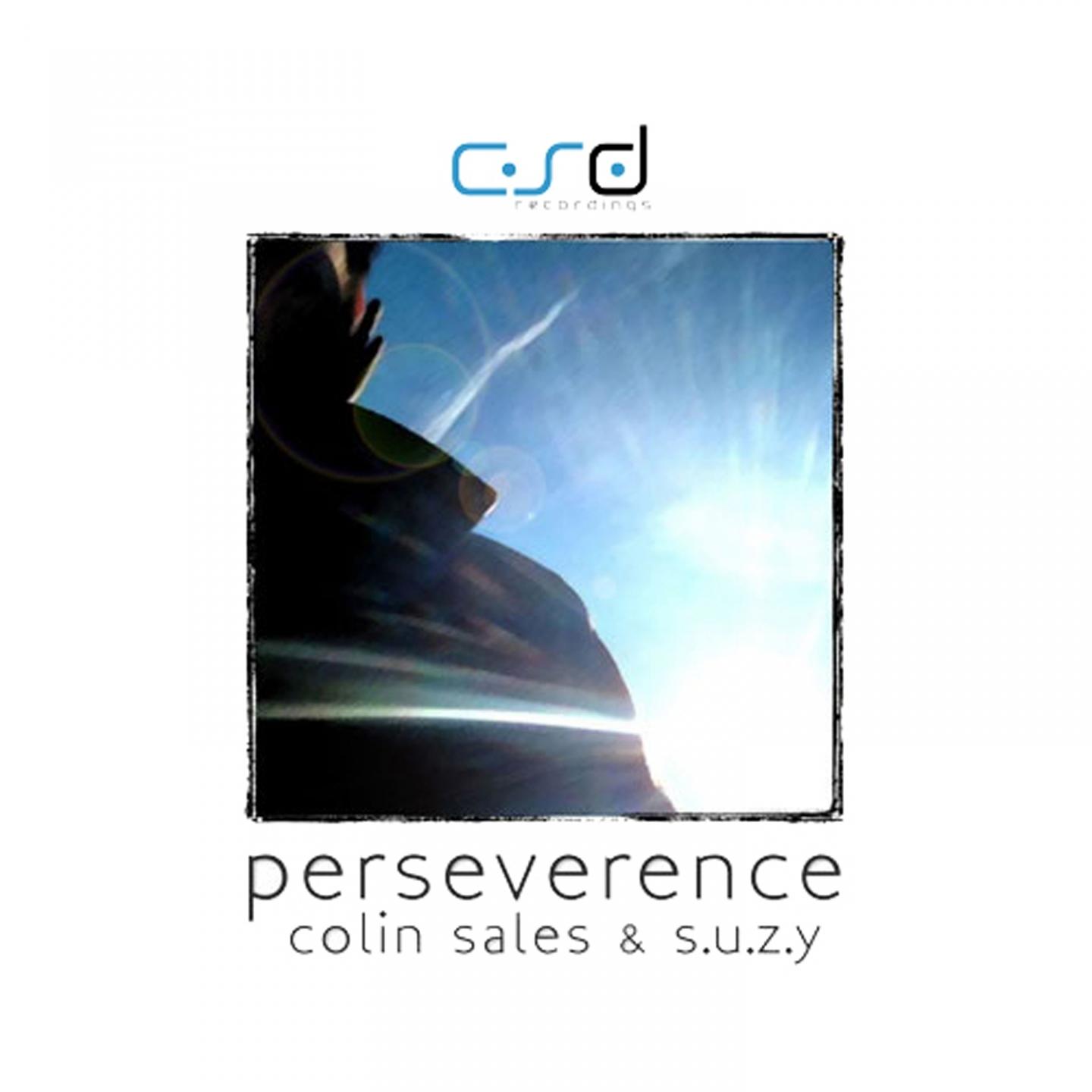 Perseverence (Ciappy DuBeep Remix)