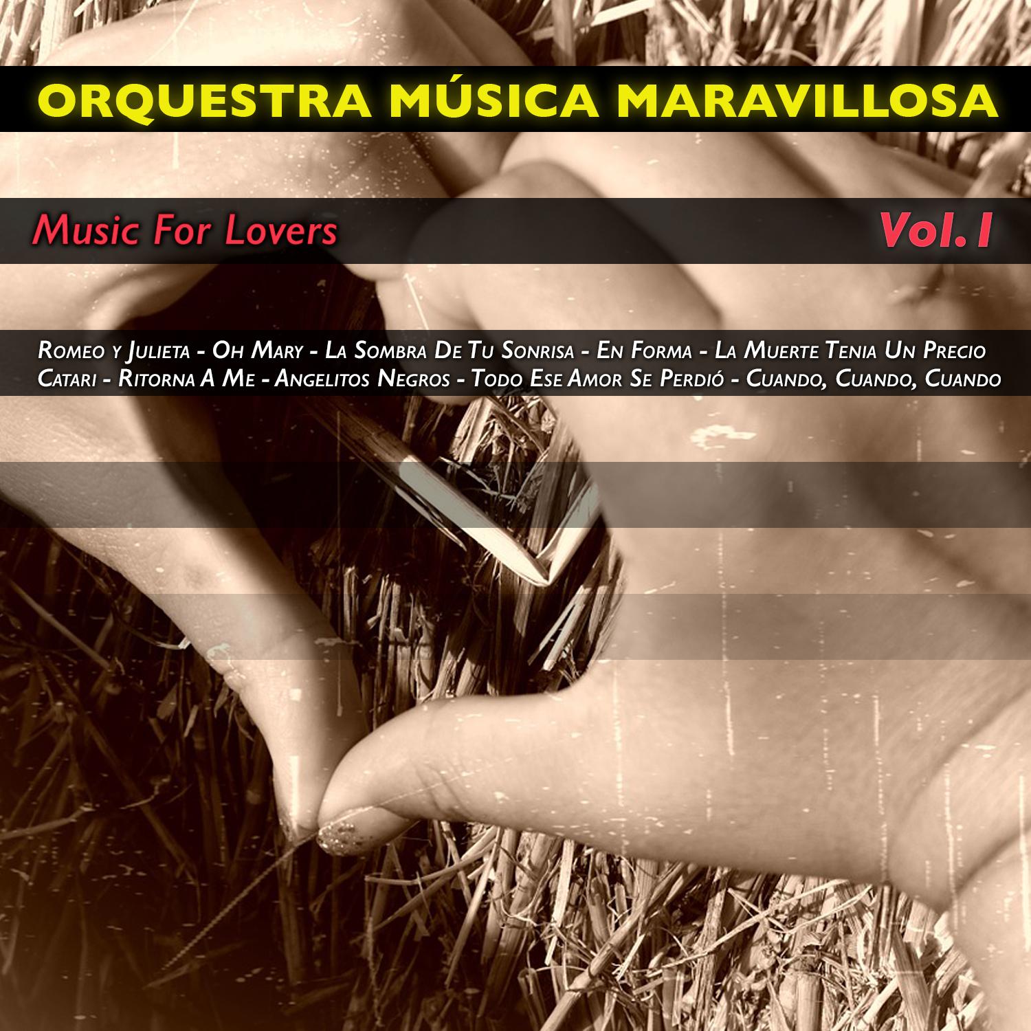 Music For Lovers, Vol.1