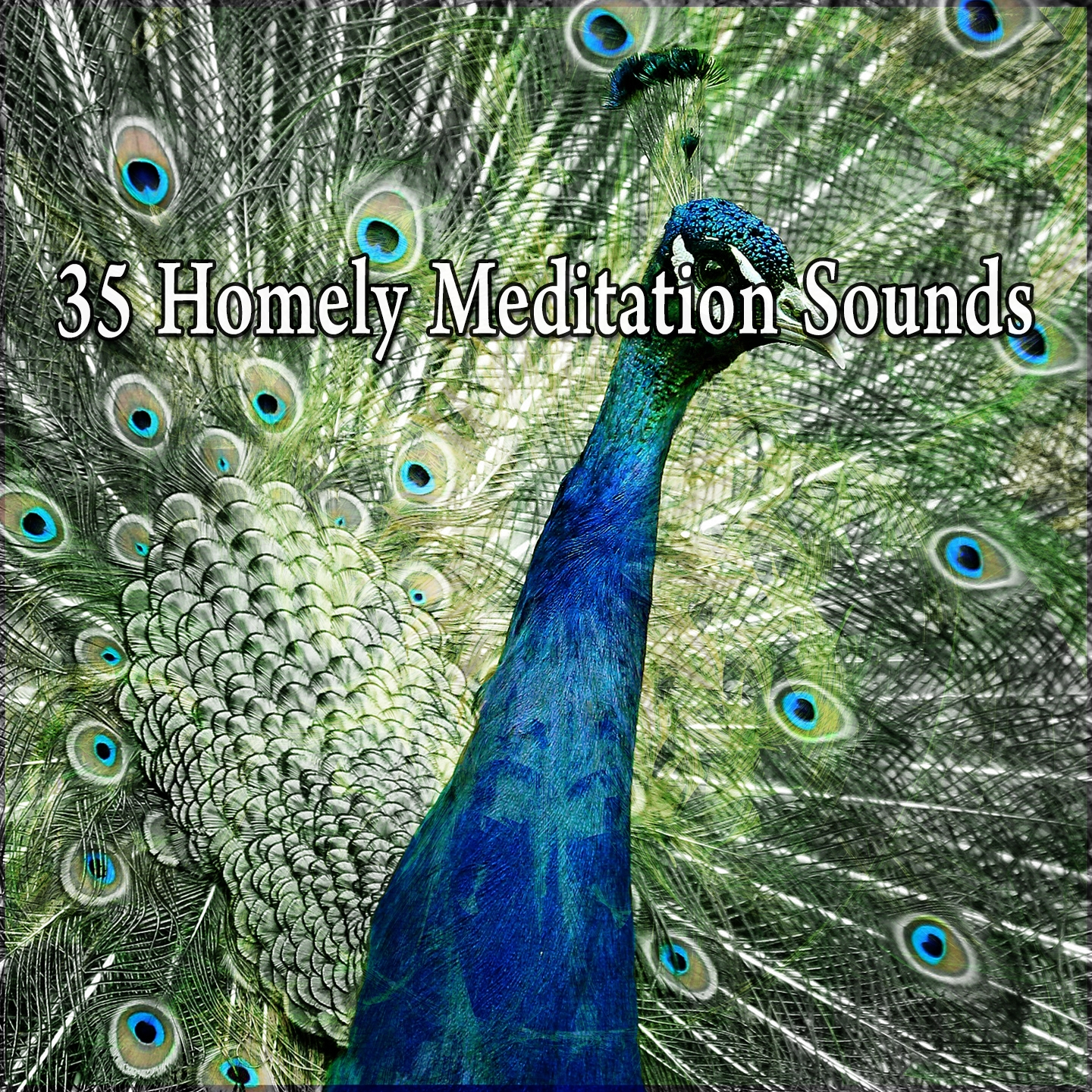 35 Homely Meditation Sounds