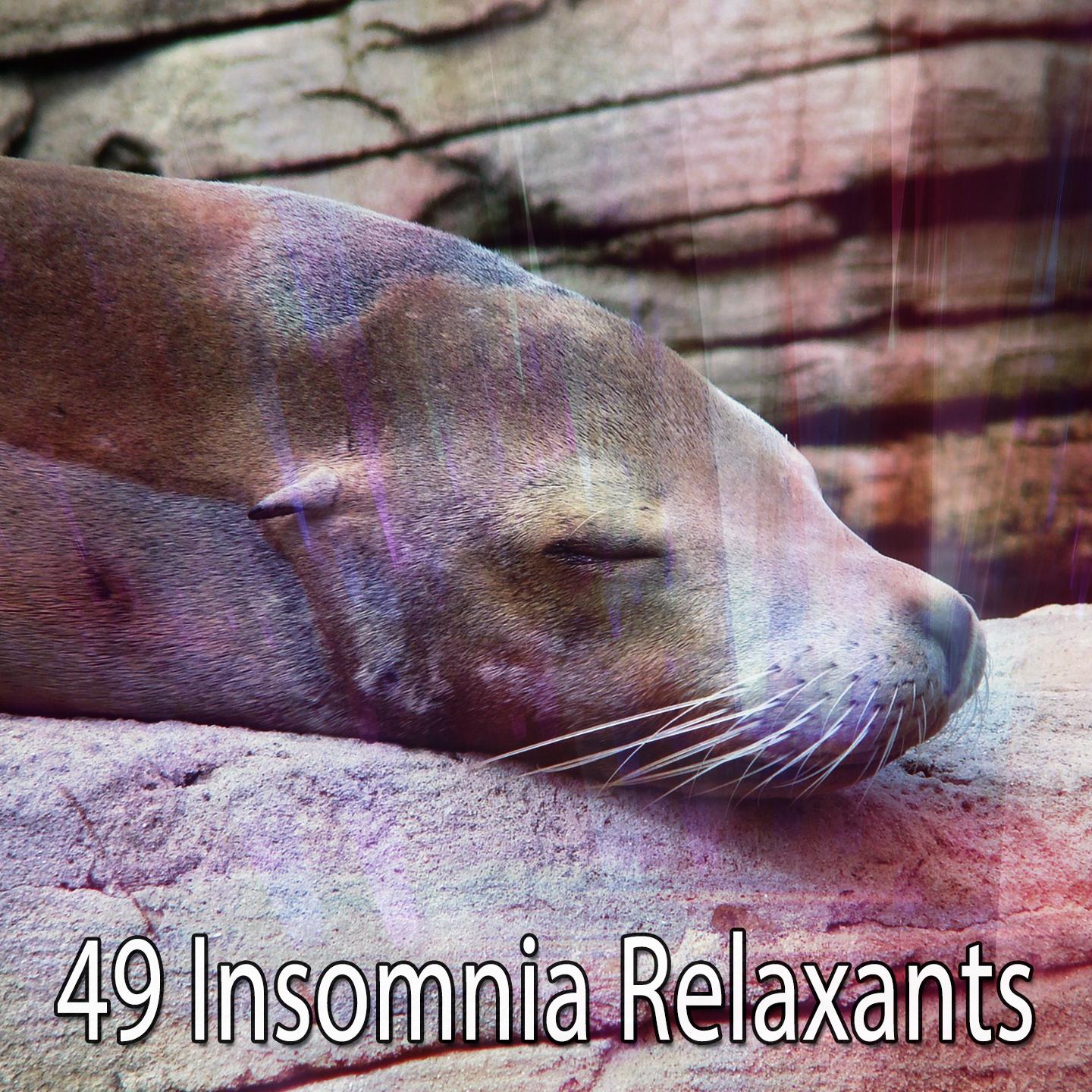 49 Insomnia Relaxants