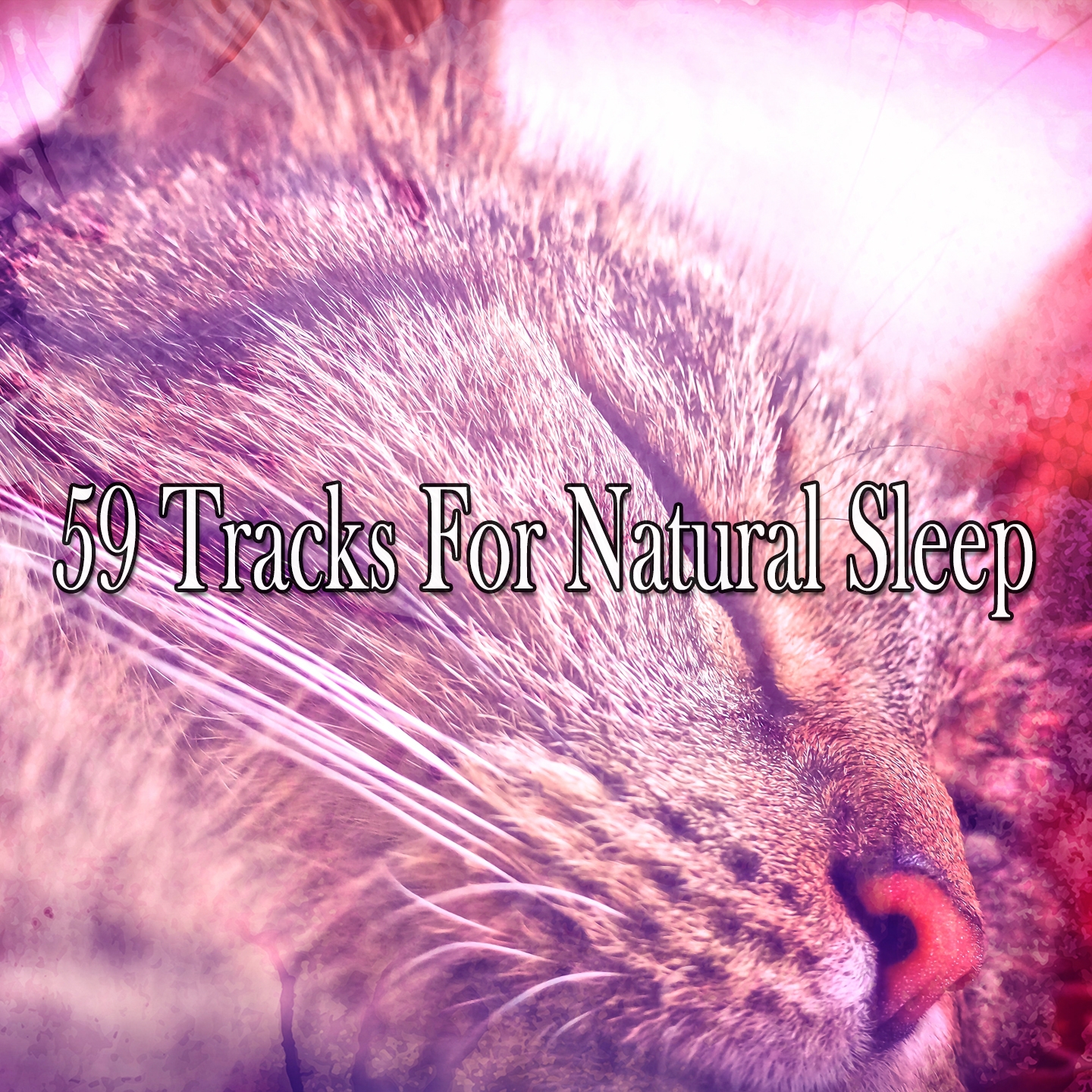 59 Tracks For Natural Sleep