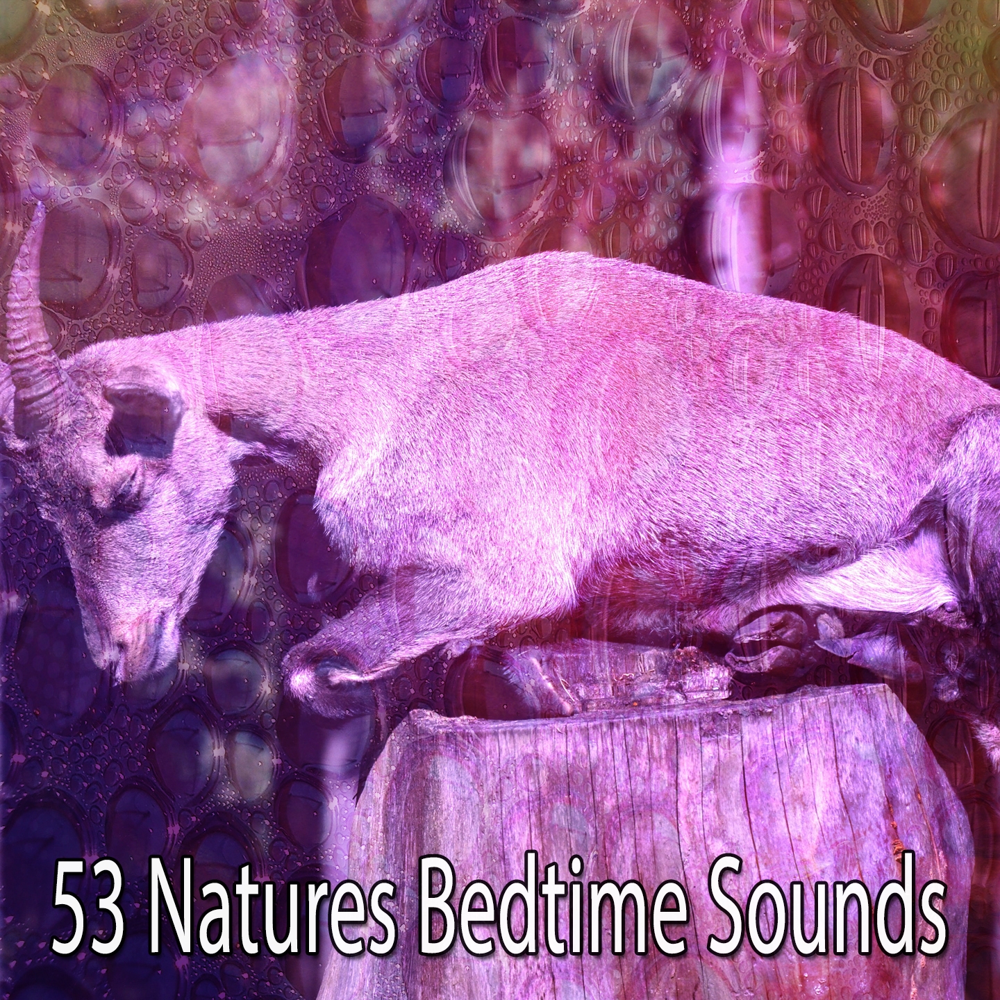 53 Natures Bedtime Sounds