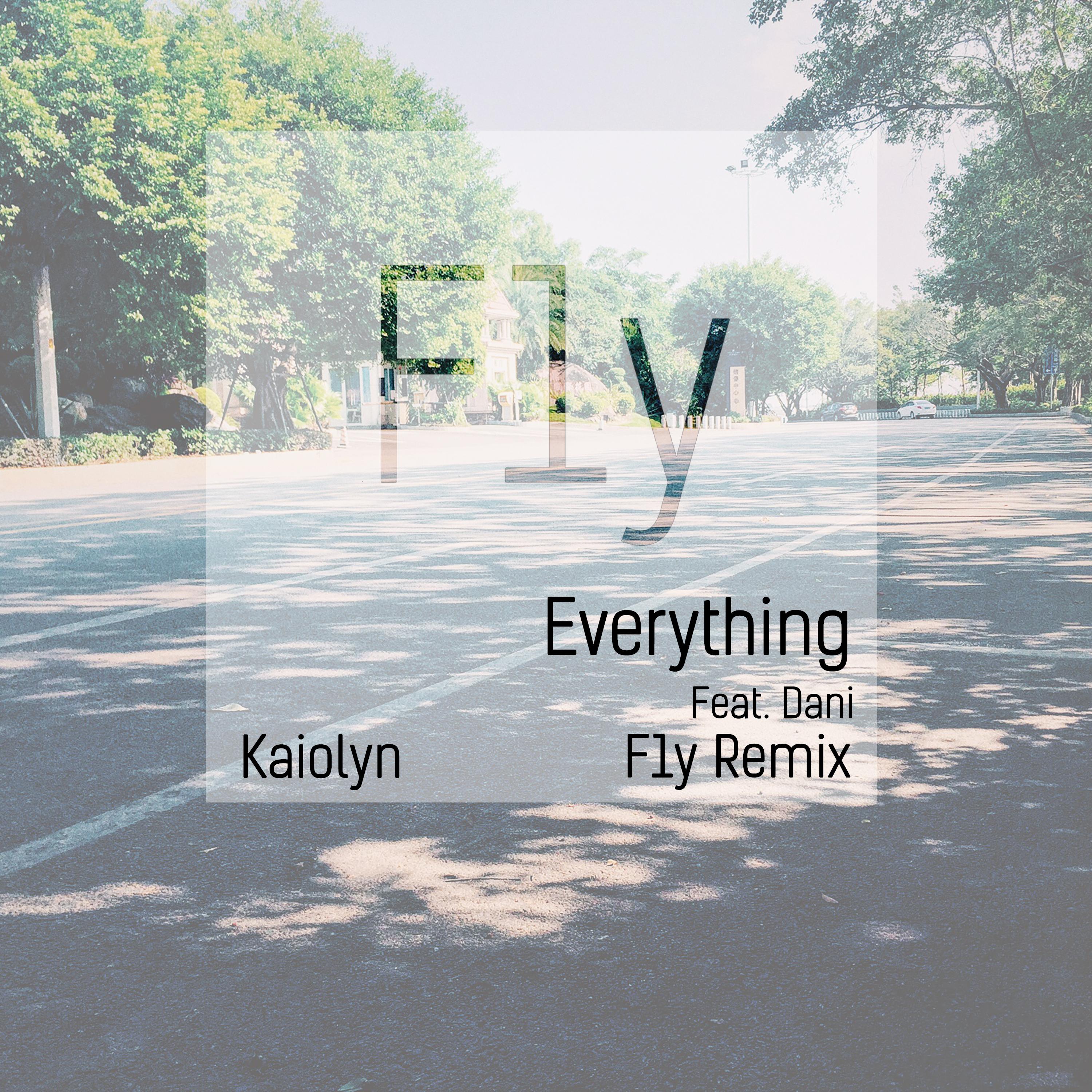 Everything(F1y Syn Instrumental Remix)