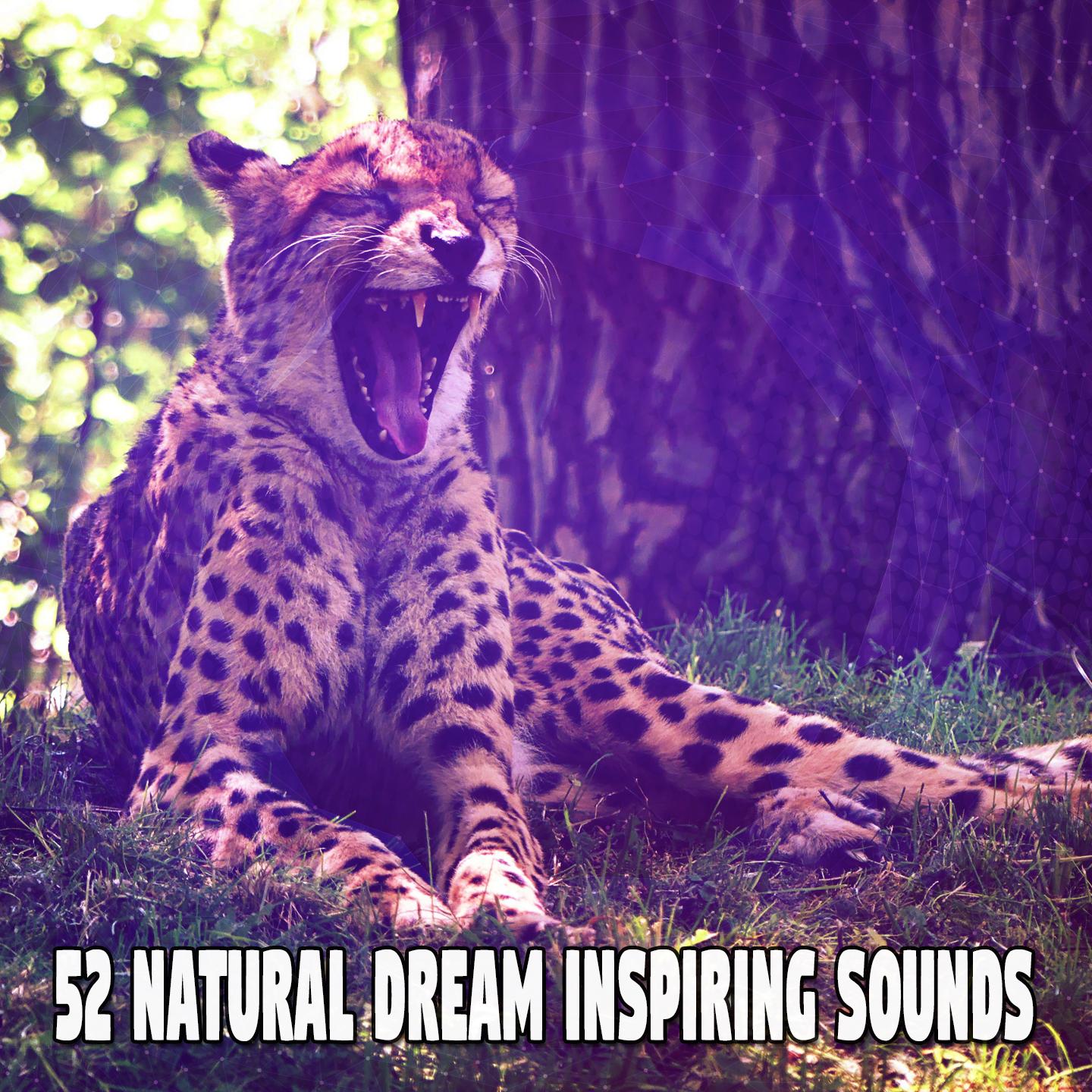 52 Natural Dream Inspiring Sounds