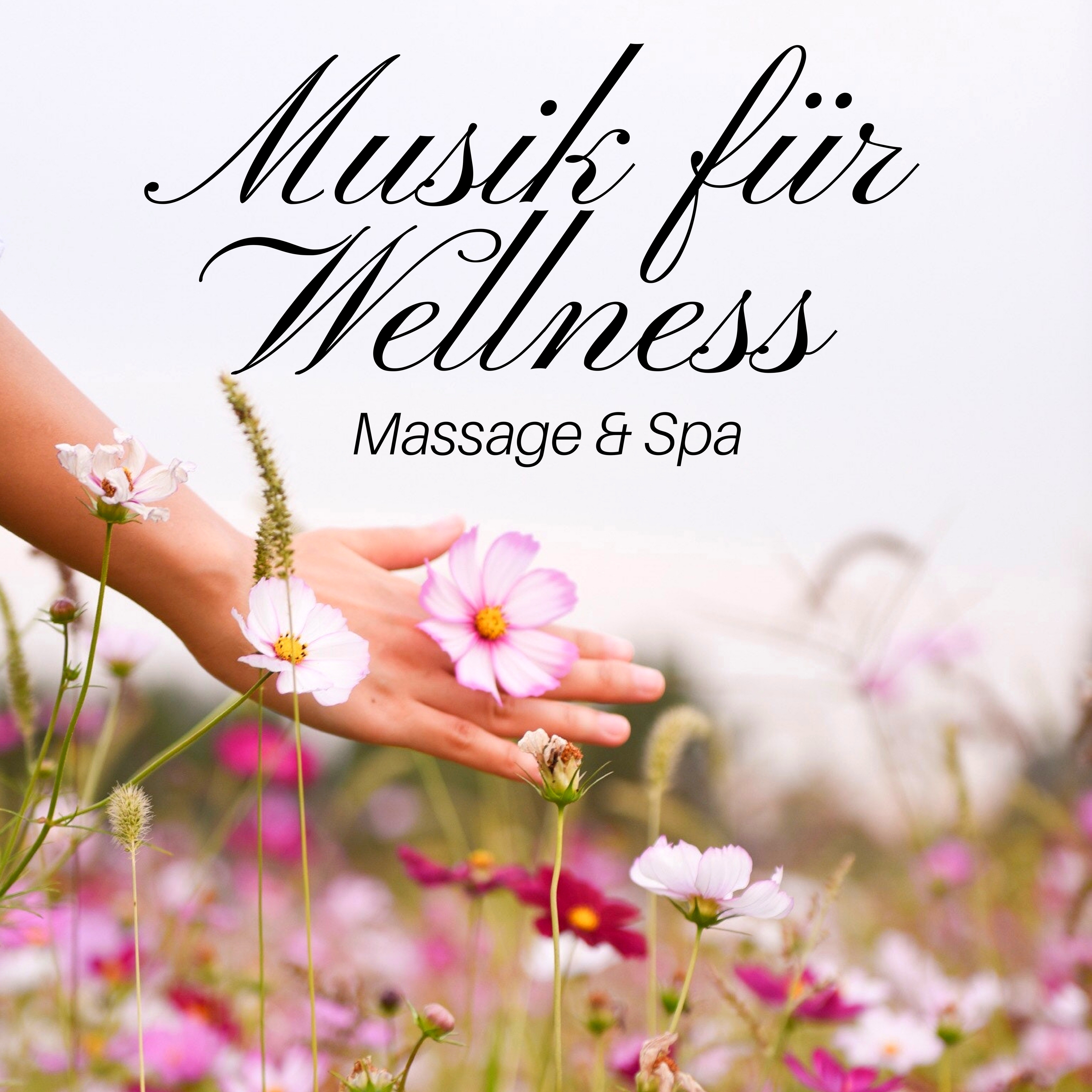 Spa Wellness Musik