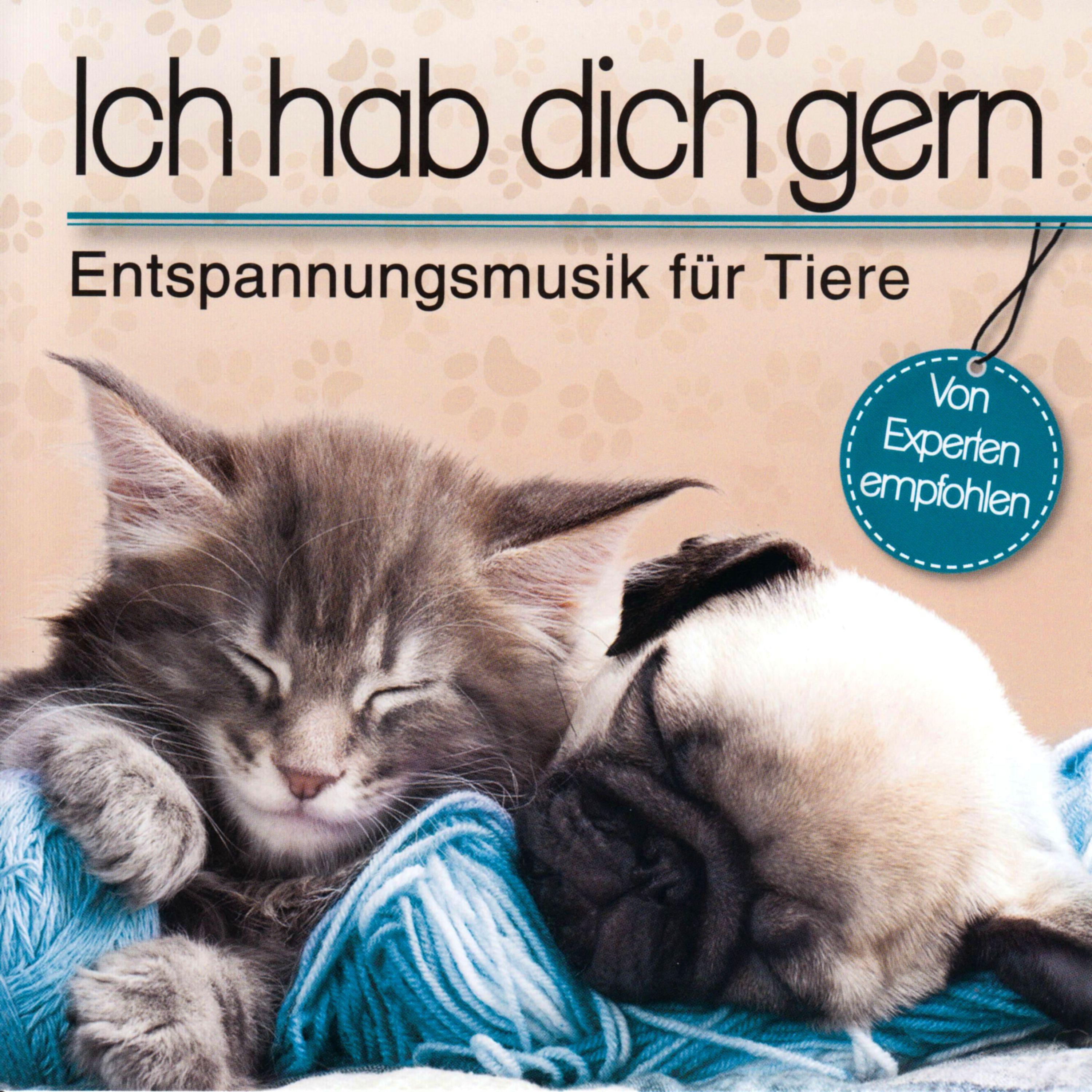 Ich hab dich gern - Entspannungsmusik für Tiere